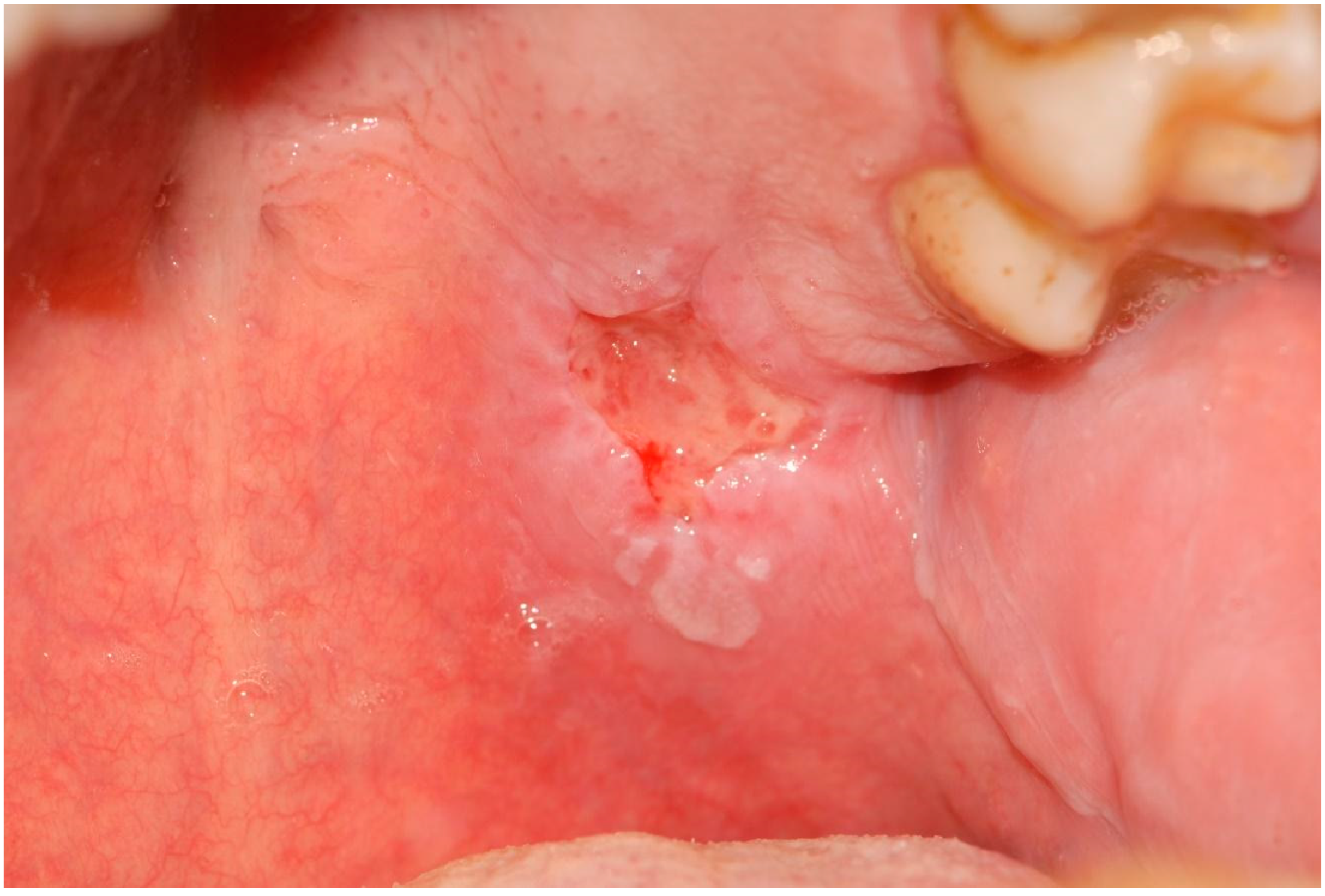 Applsci 12 12994 g005