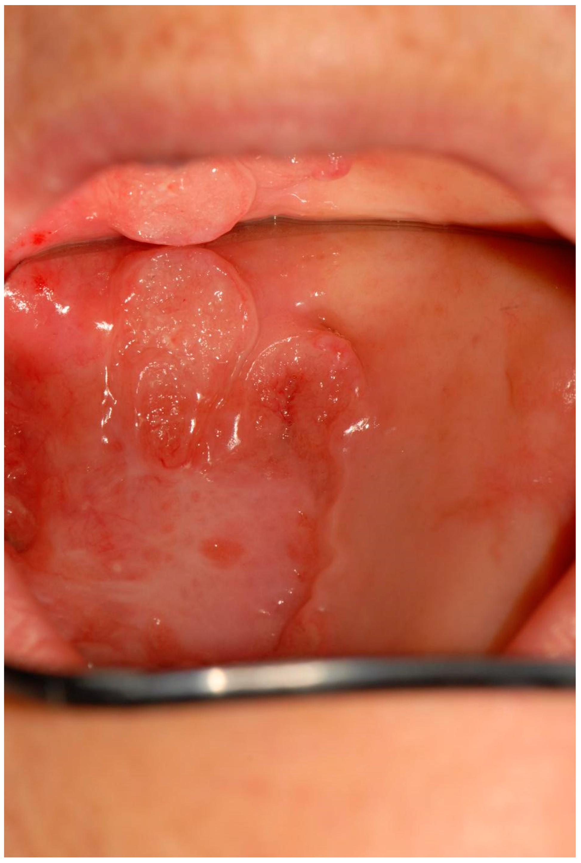 Applsci 12 12994 g006