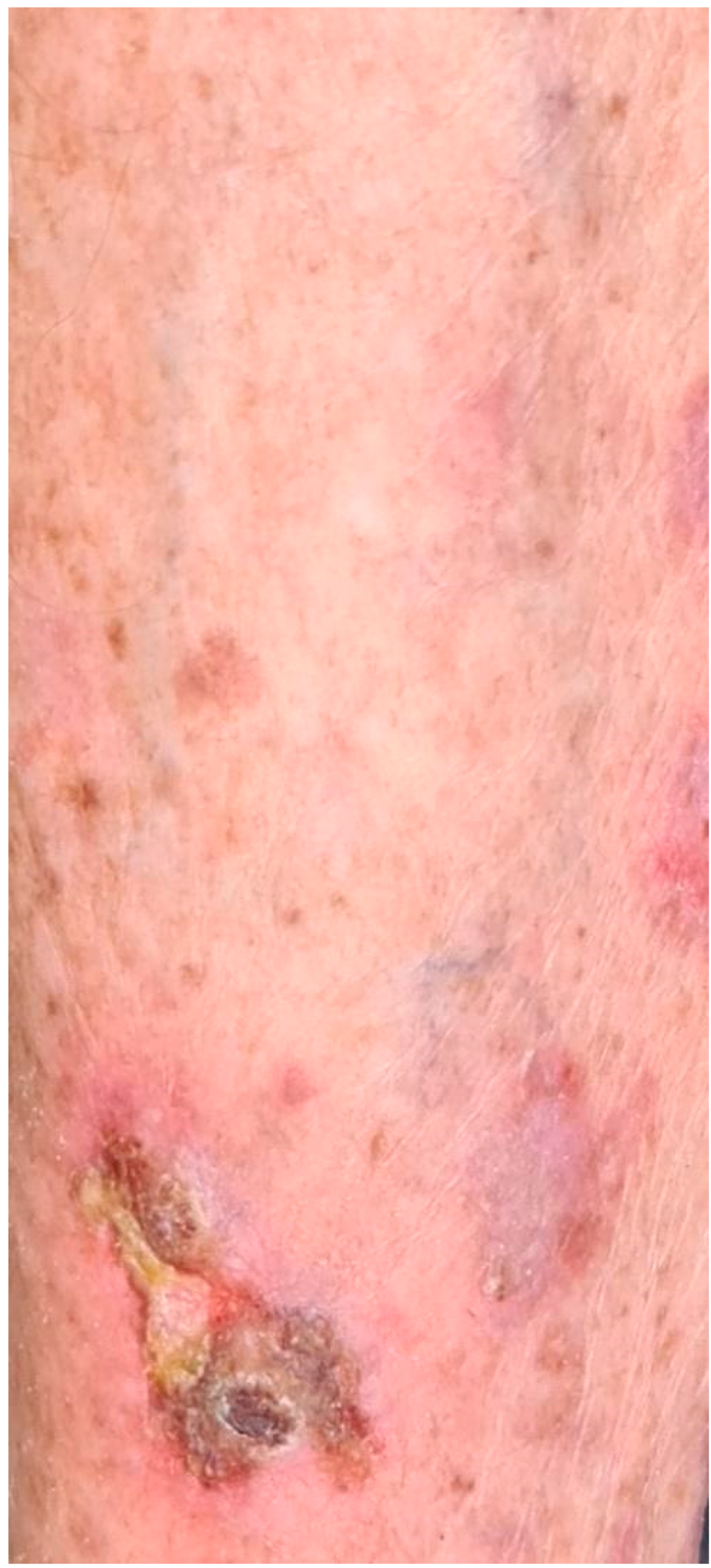 Applsci 12 12994 g009