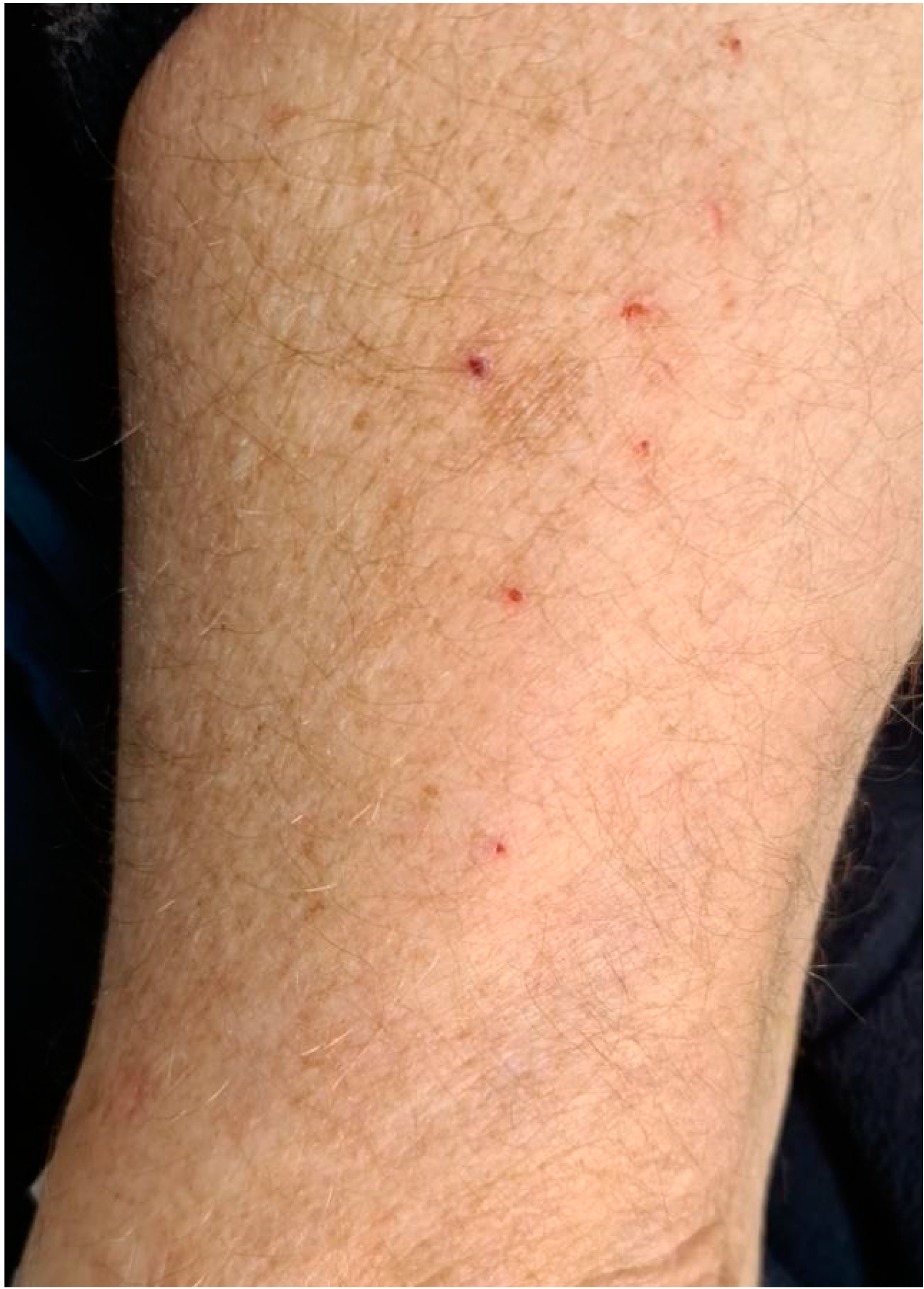 Applsci 12 12994 g010