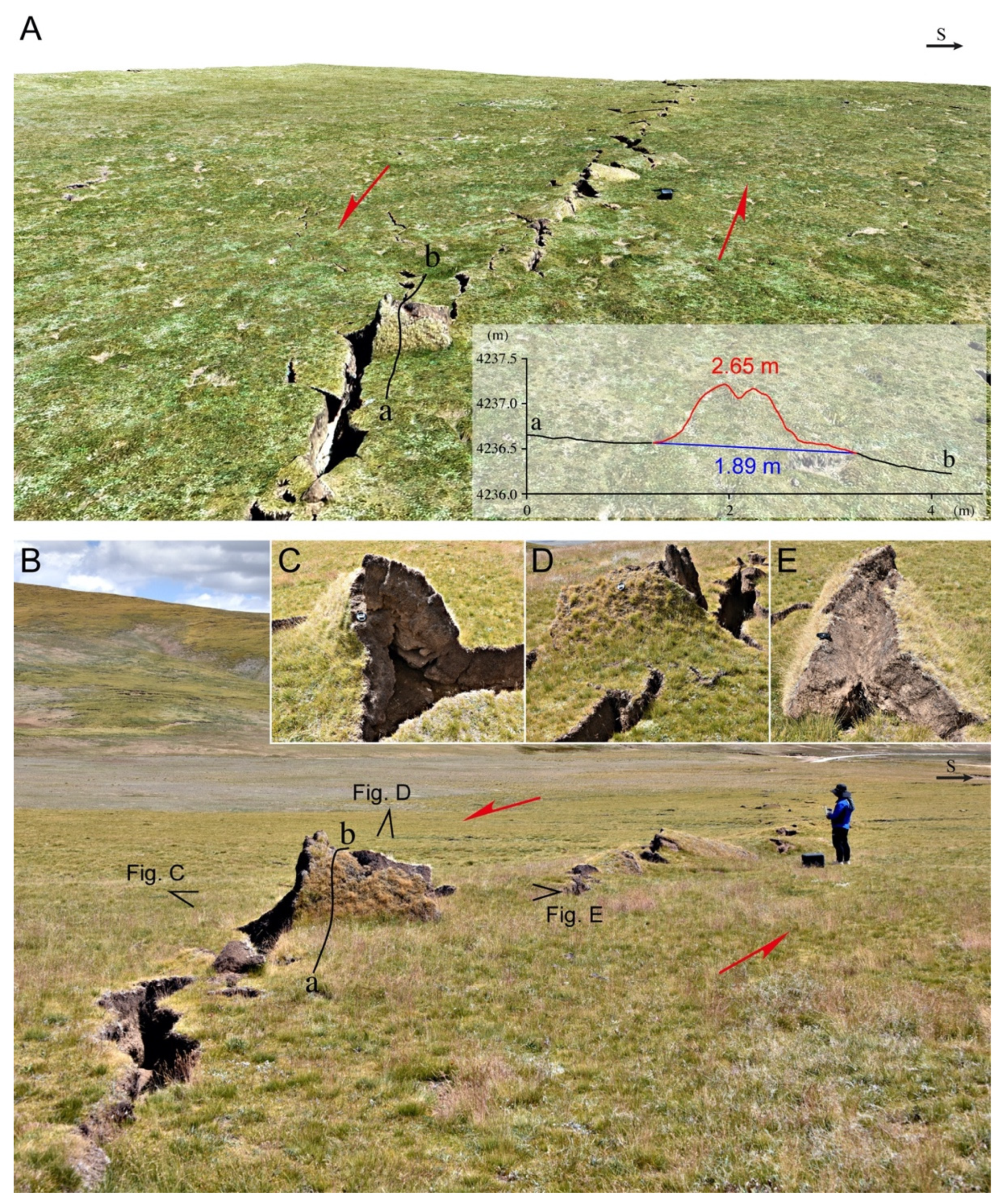 Applsci 12 13005 g008