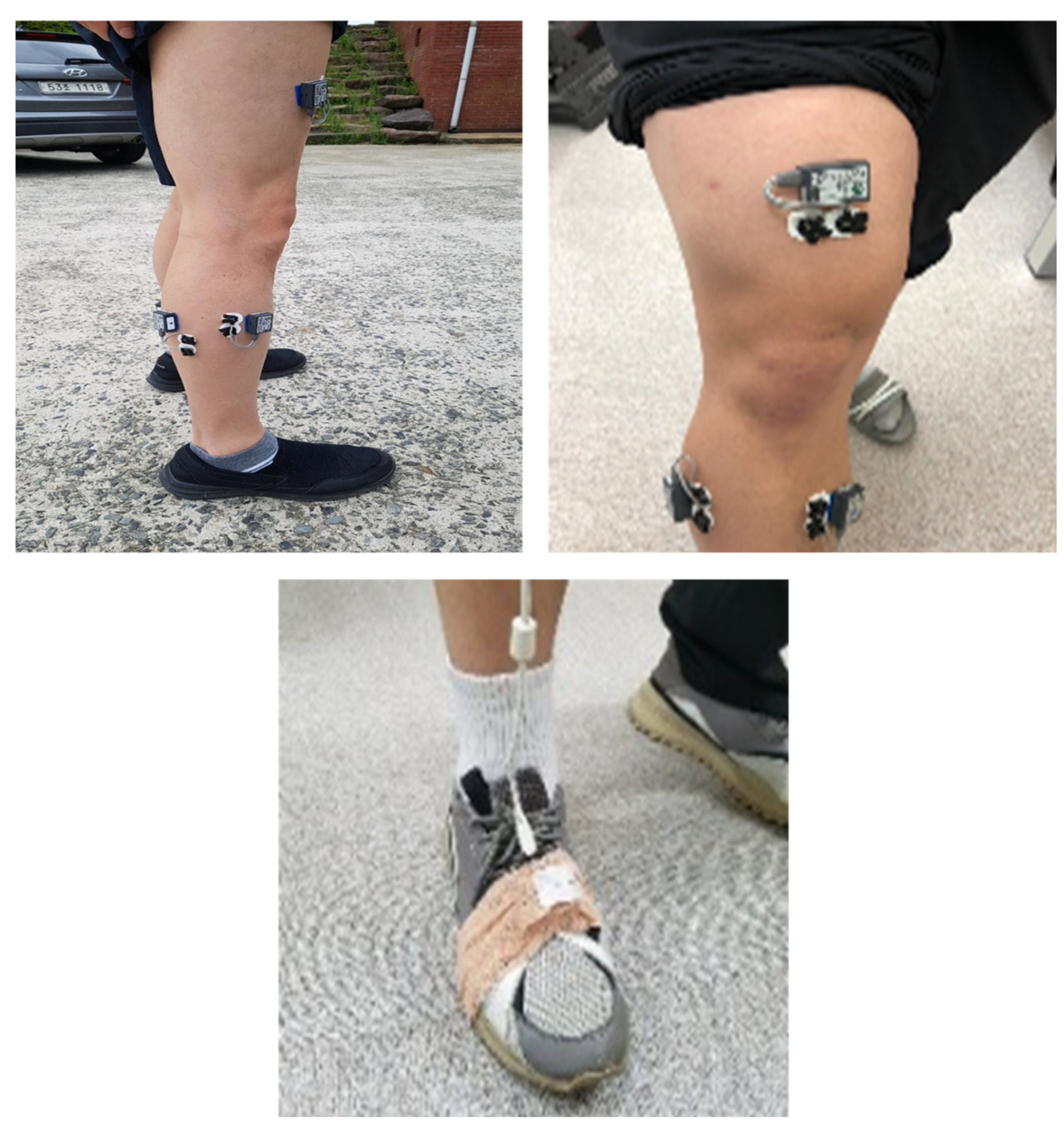 Applsci 12 13025 g003