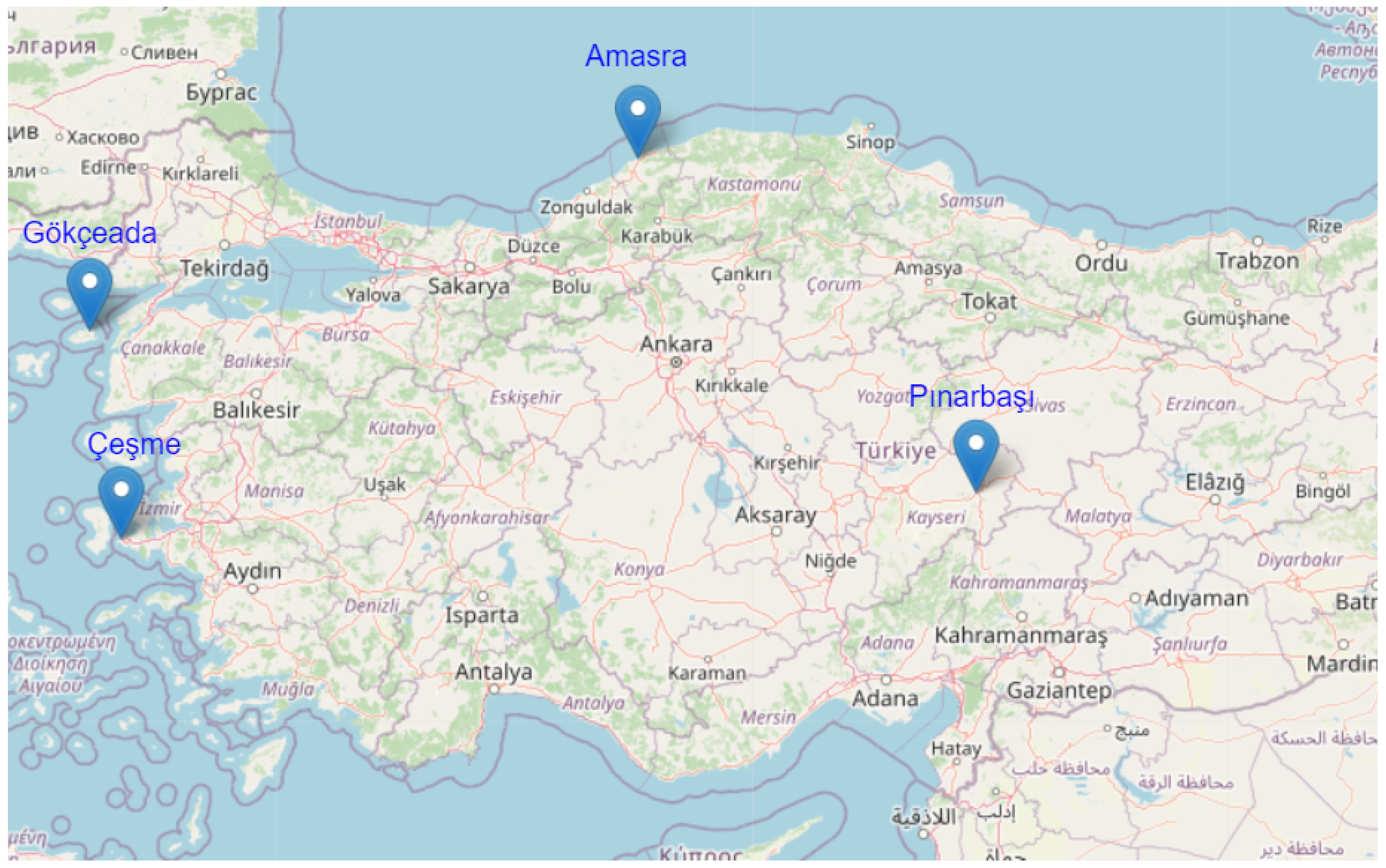 Applsci 12 13031 g005