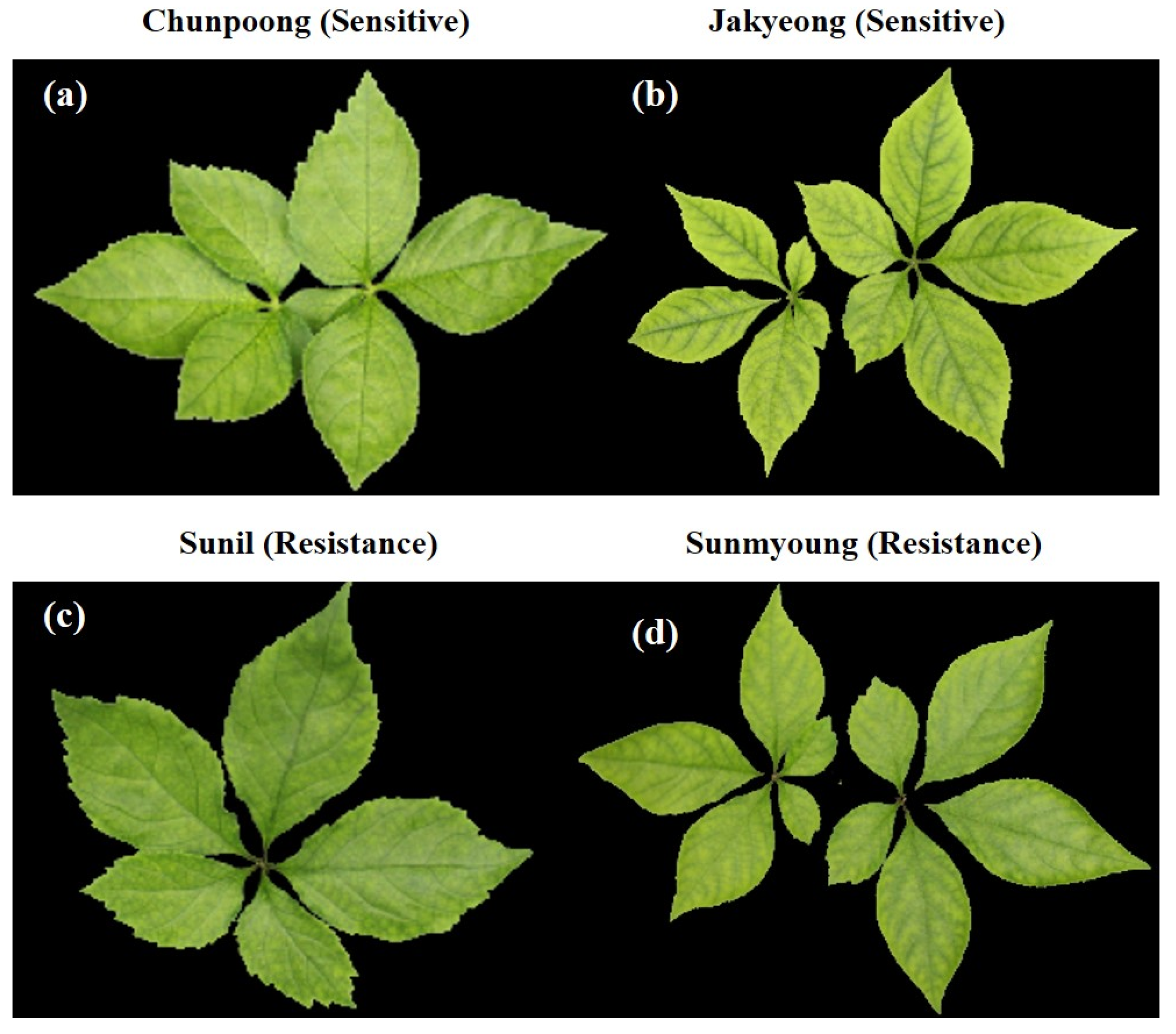 Applsci 13 00031 g001