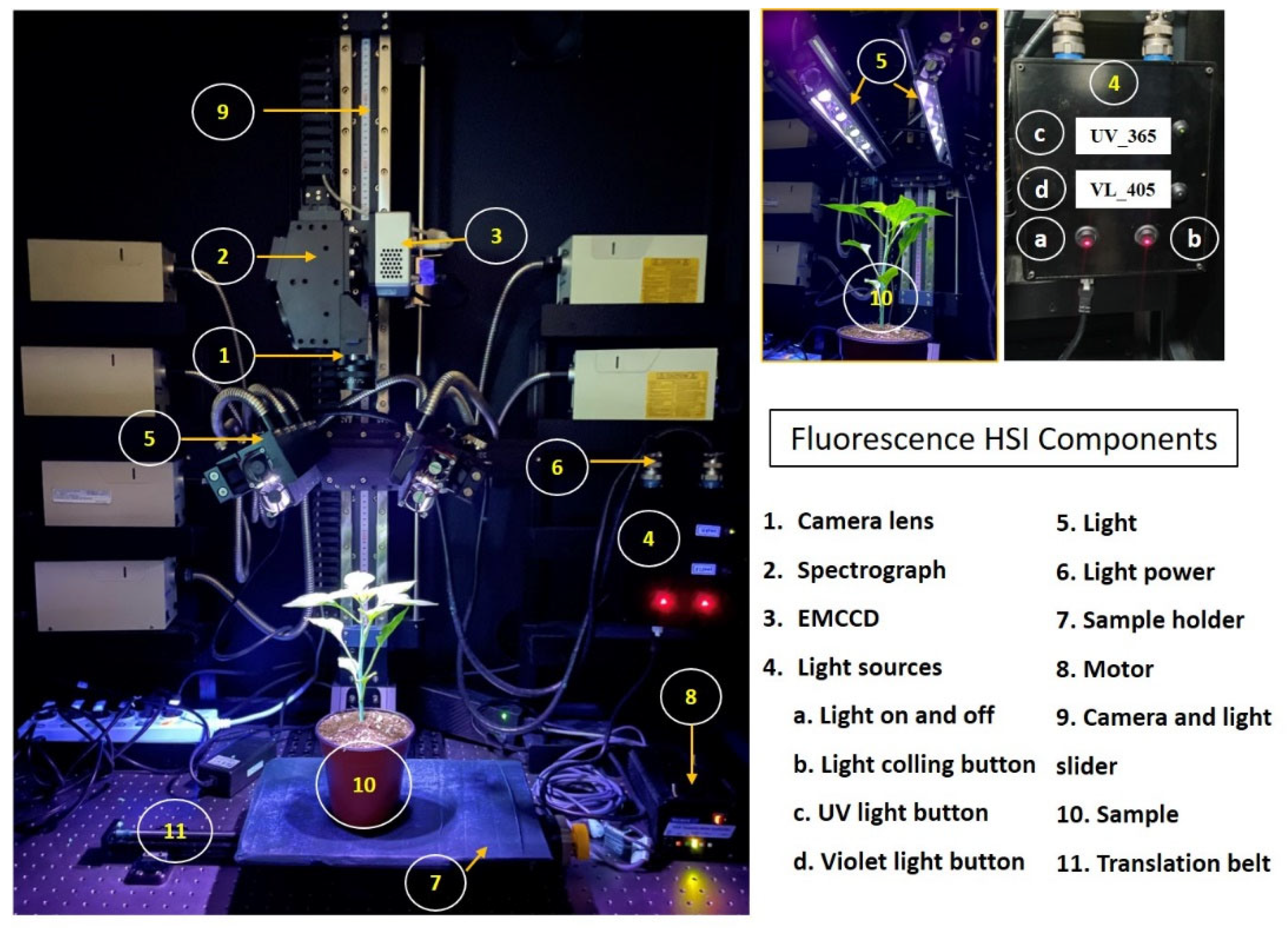 Applsci 13 00031 g002