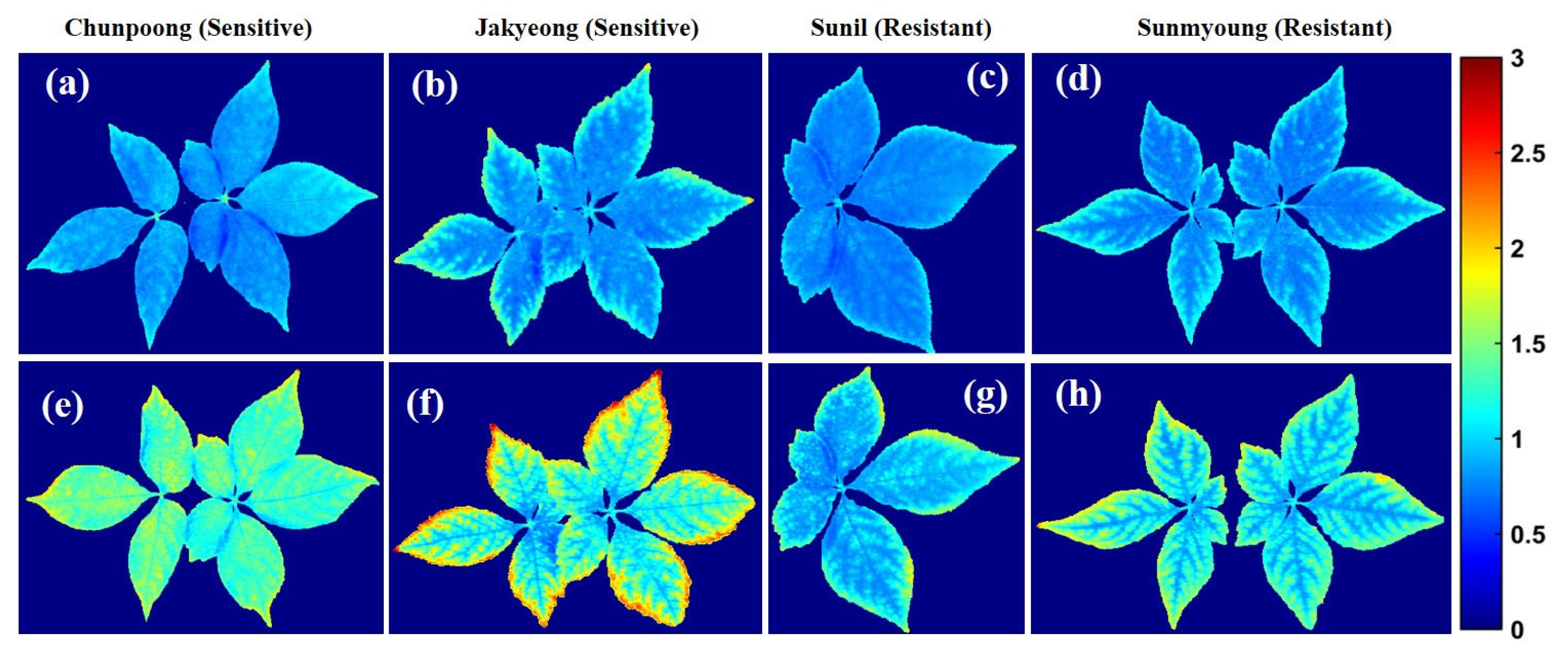 Applsci 13 00031 g009
