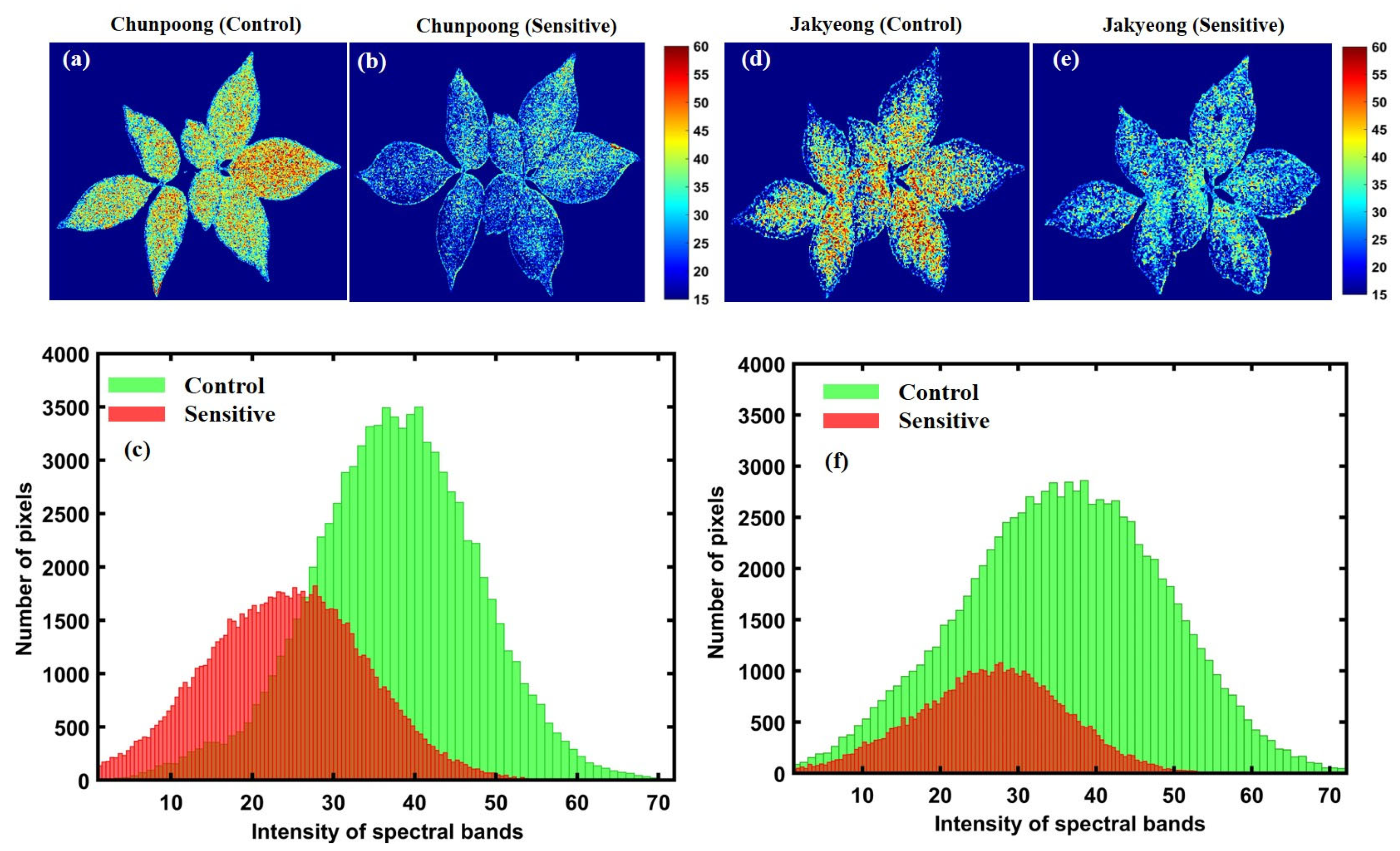 Applsci 13 00031 g012