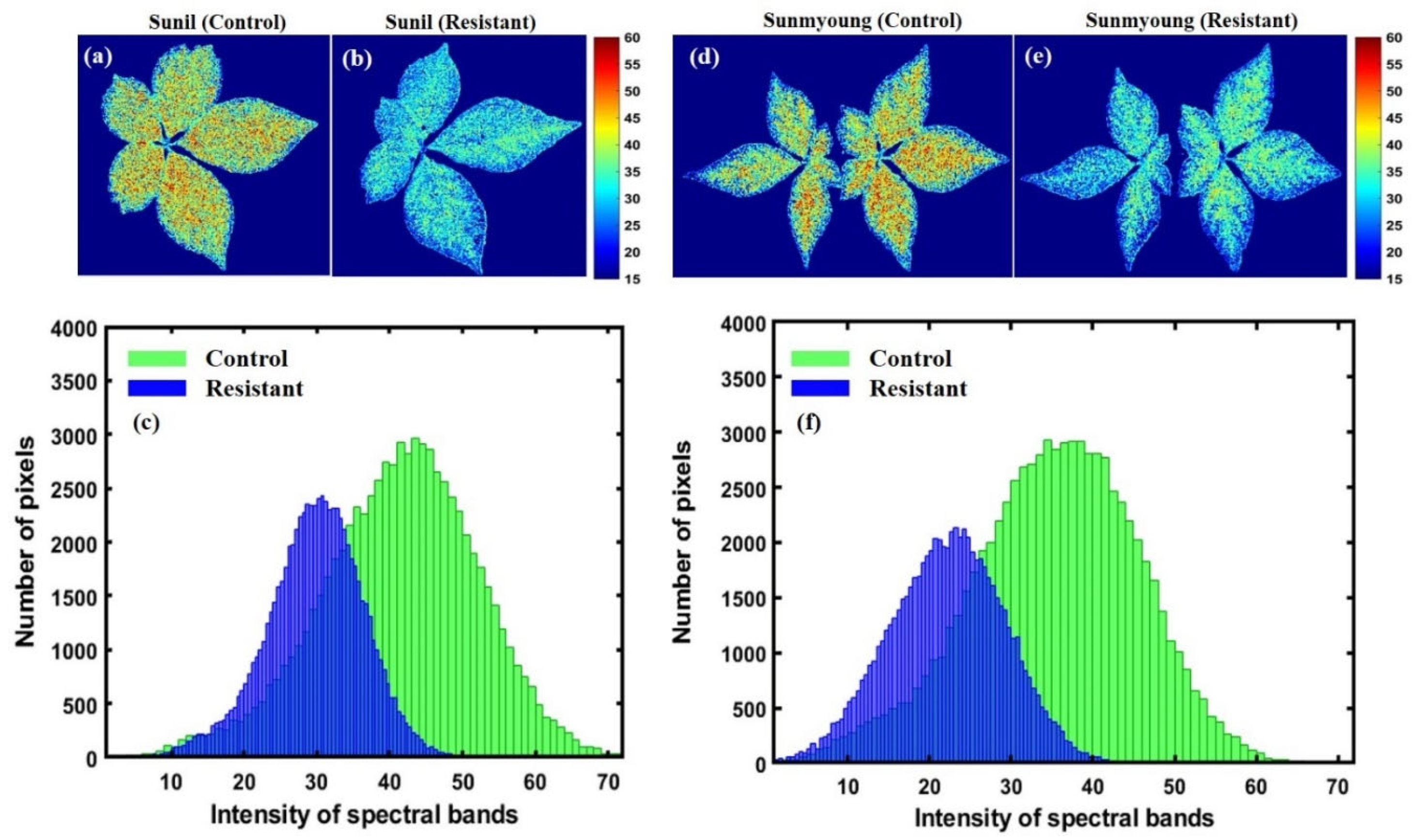 Applsci 13 00031 g013