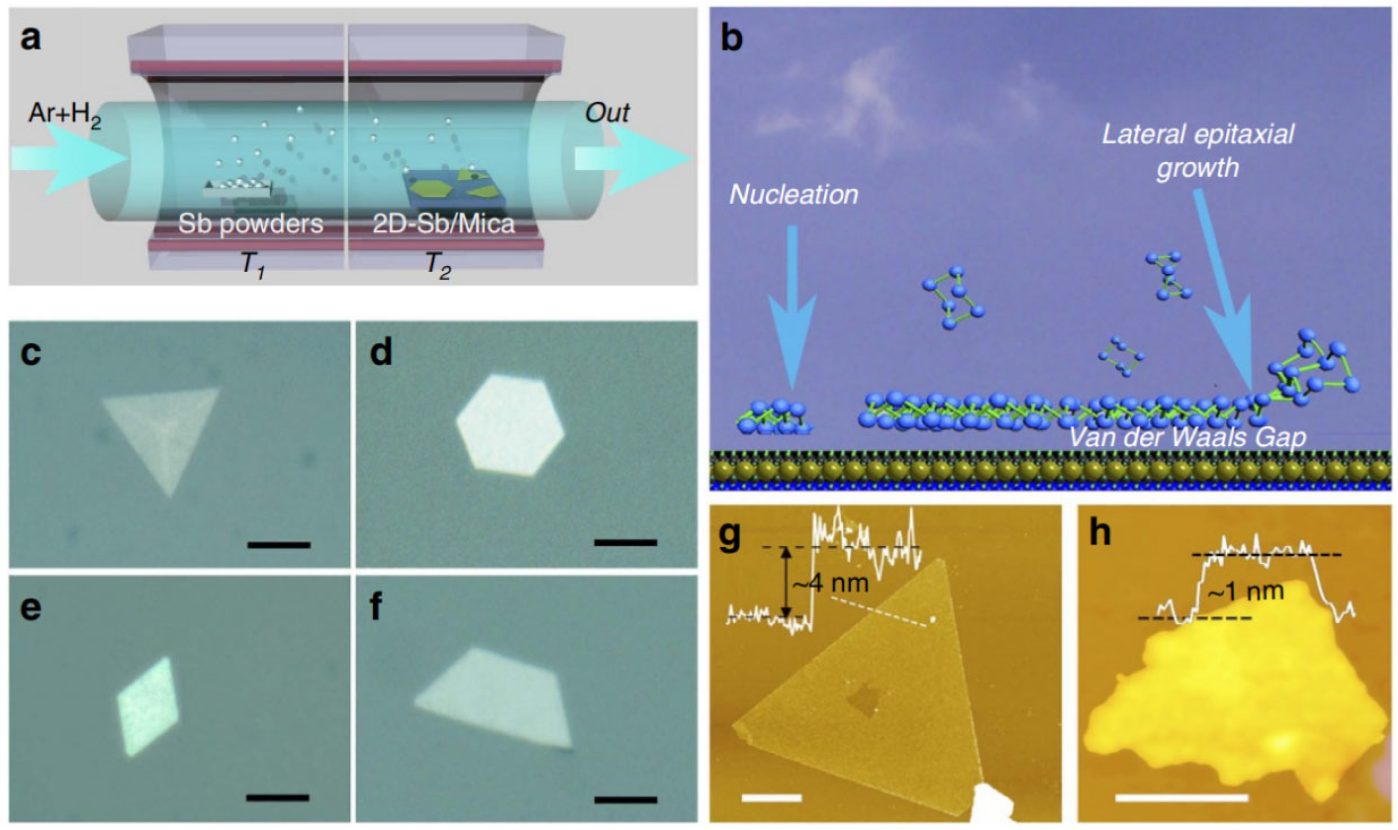 Applsci 13 00035 g007 Applsci 13 00035 g007