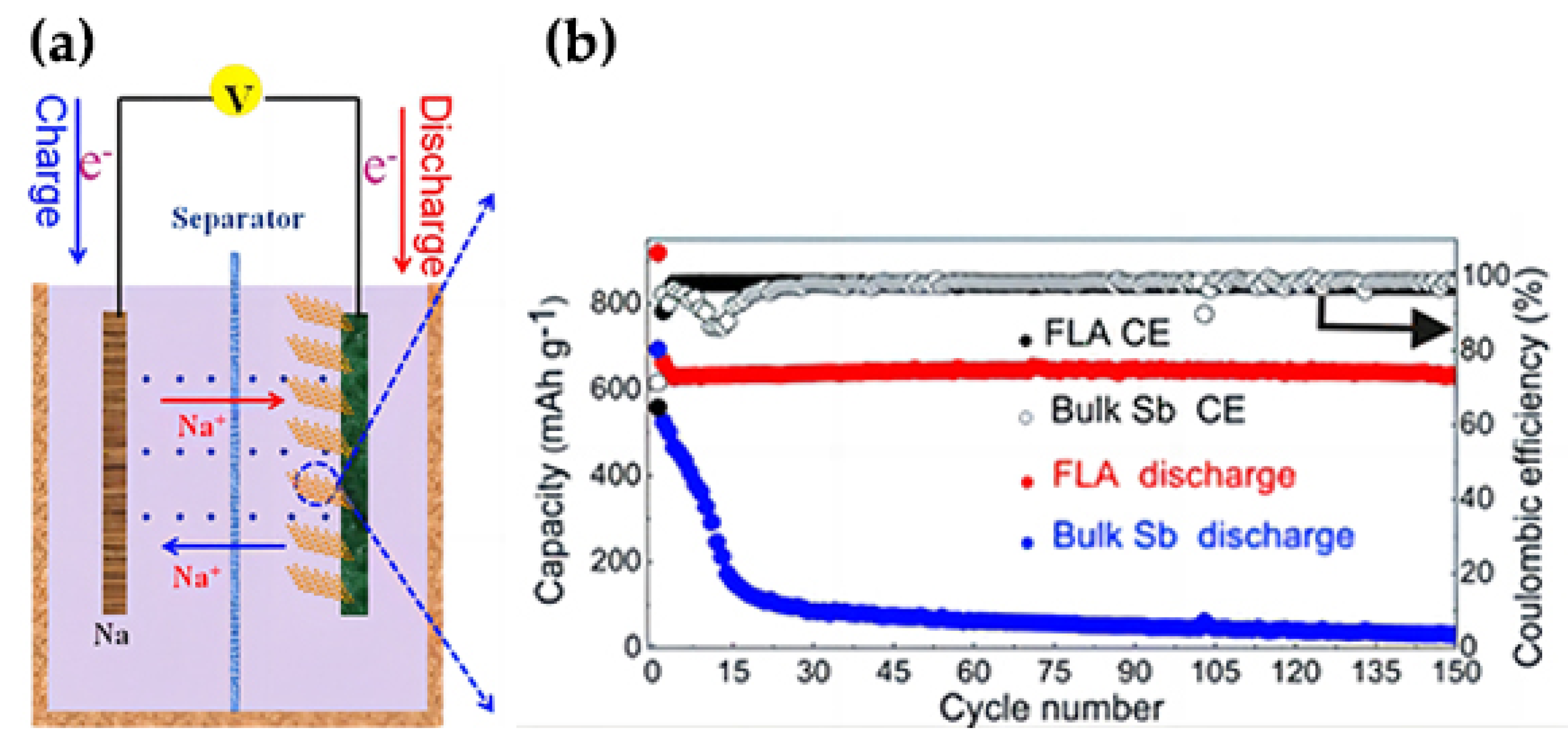 Applsci 13 00035 g013 Applsci 13 00035 g013