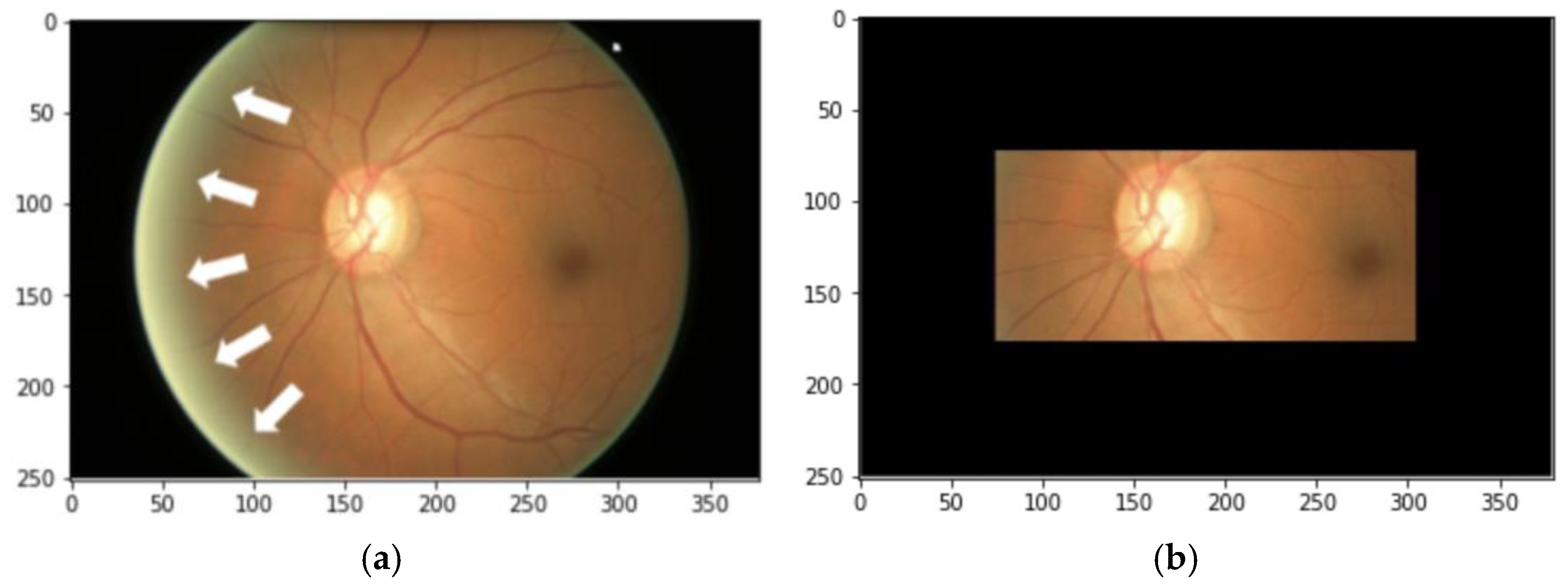 Applsci 13 00037 g005