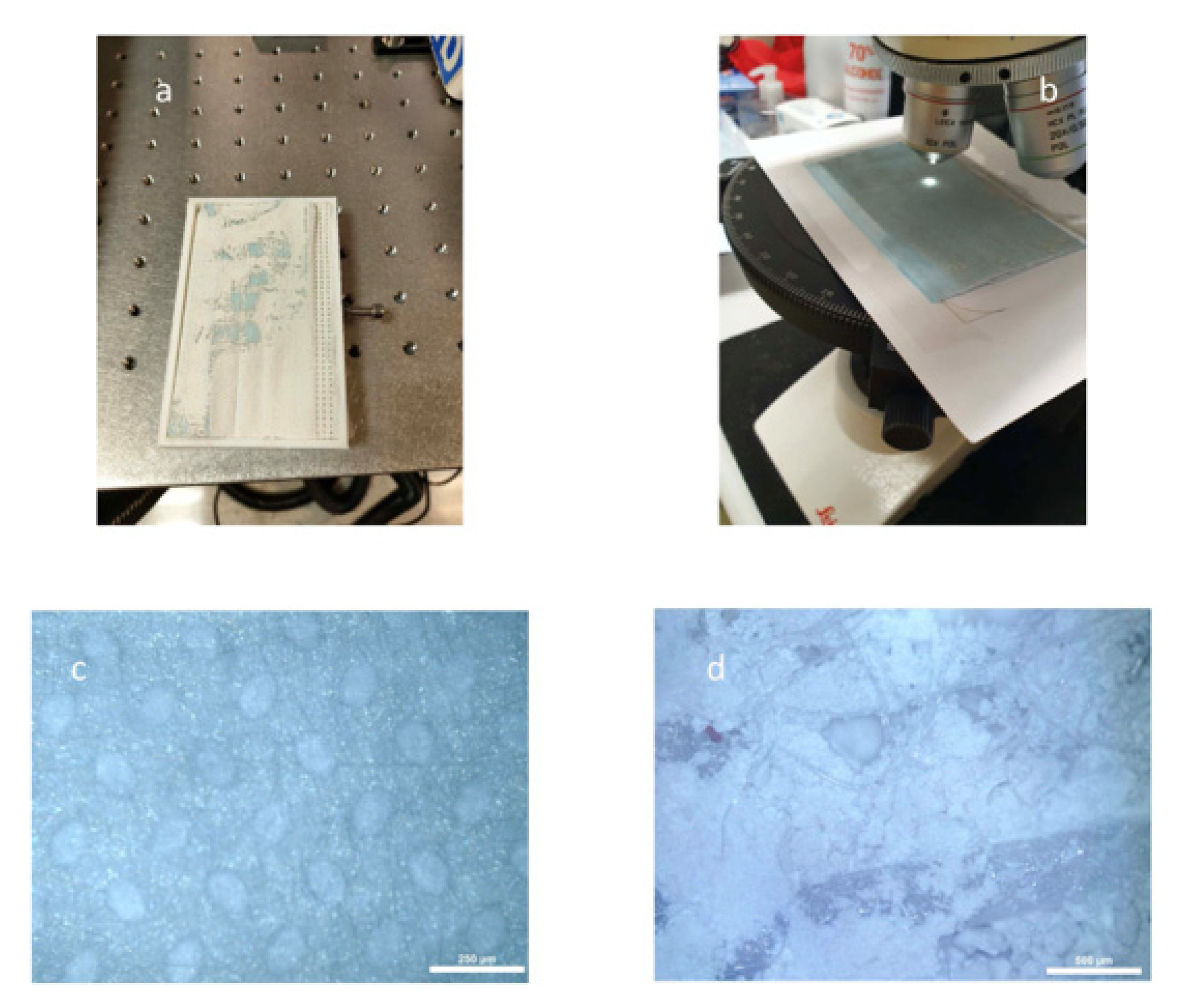 Applsci 13 00043 g008