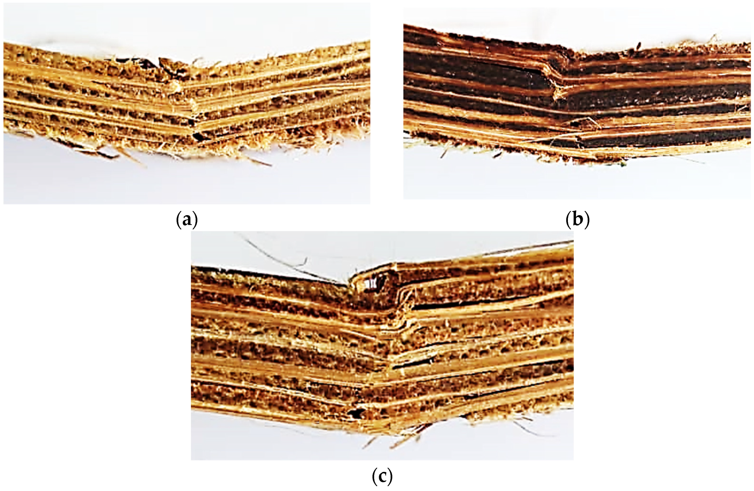 Applsci 13 00047 g007