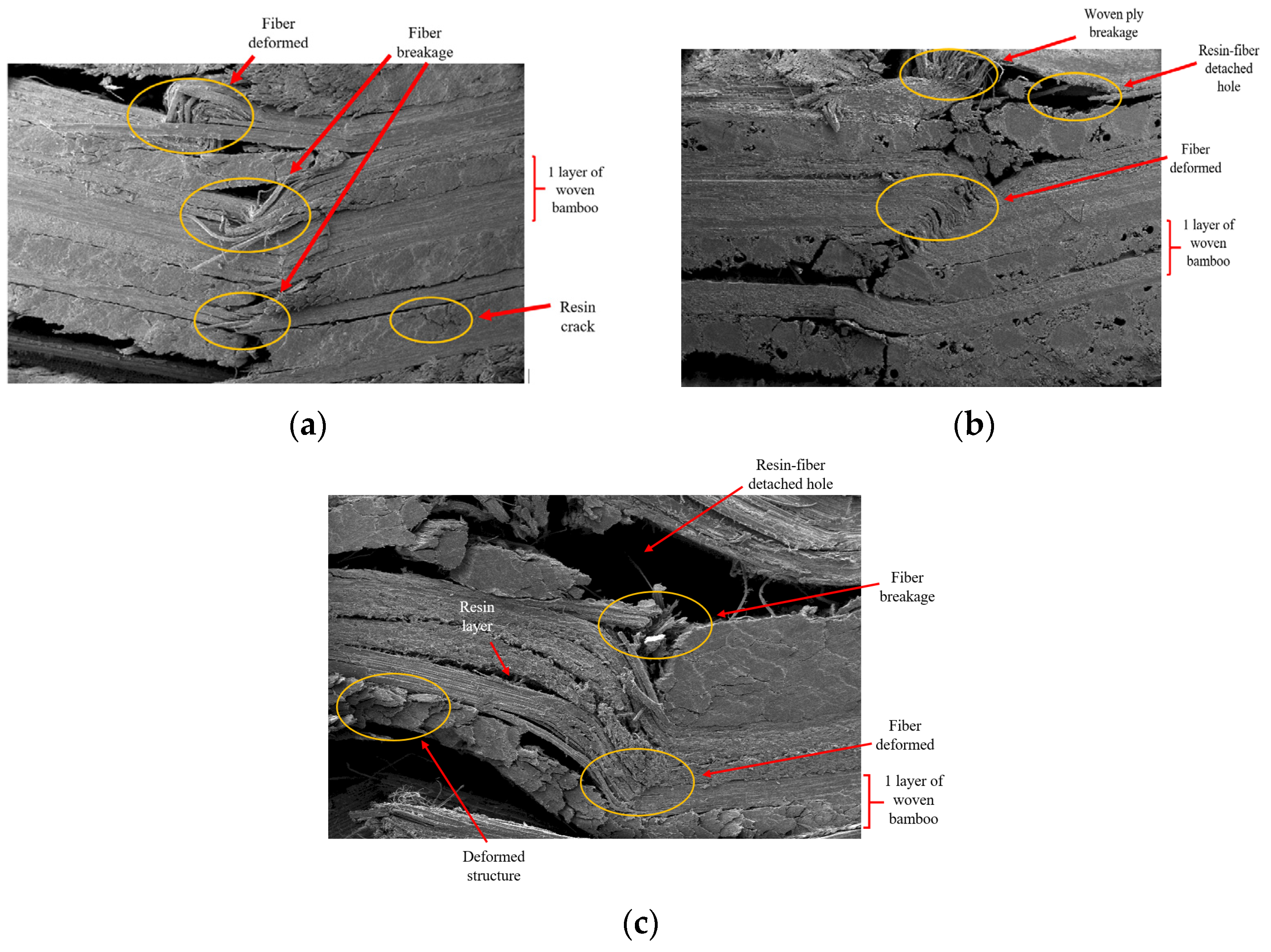 Applsci 13 00047 g008