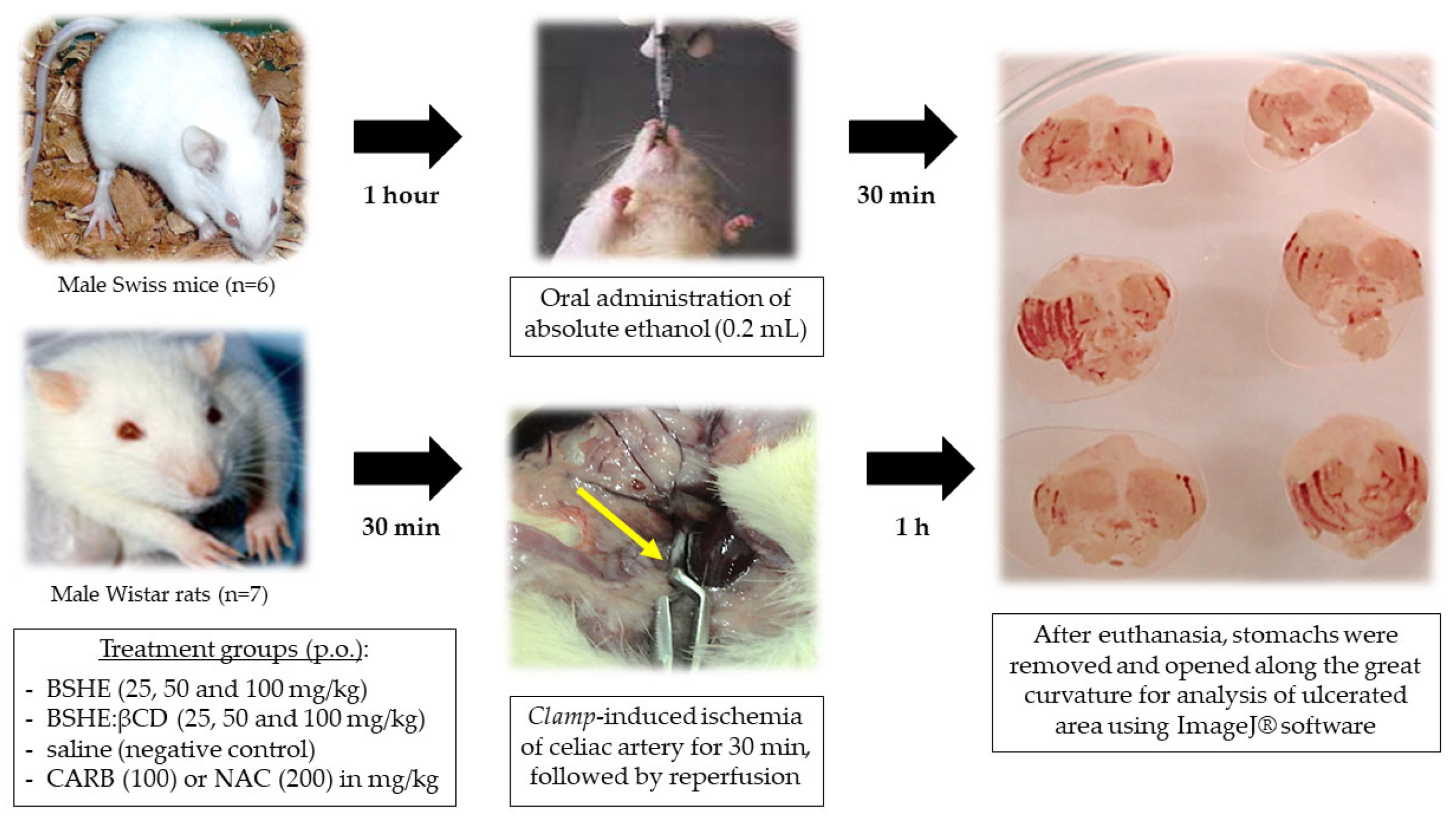 Applsci 13 00058 g002
