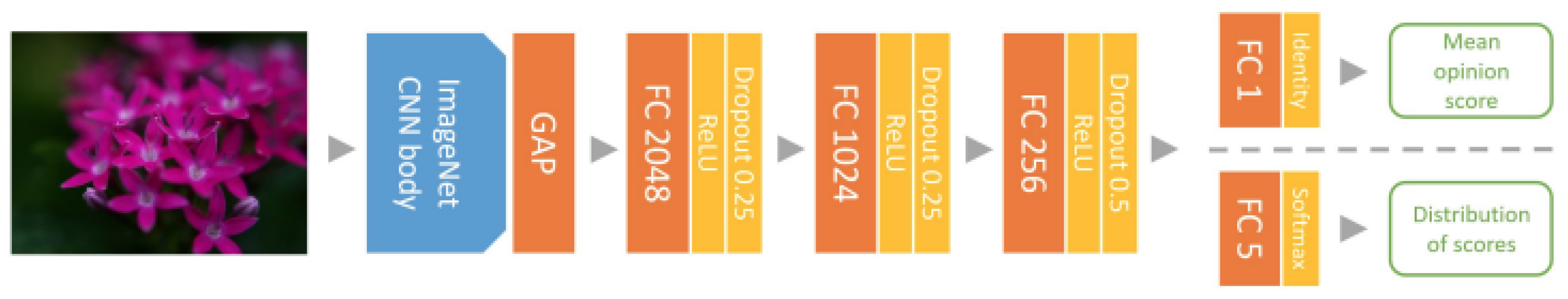 Applsci 13 00059 g001