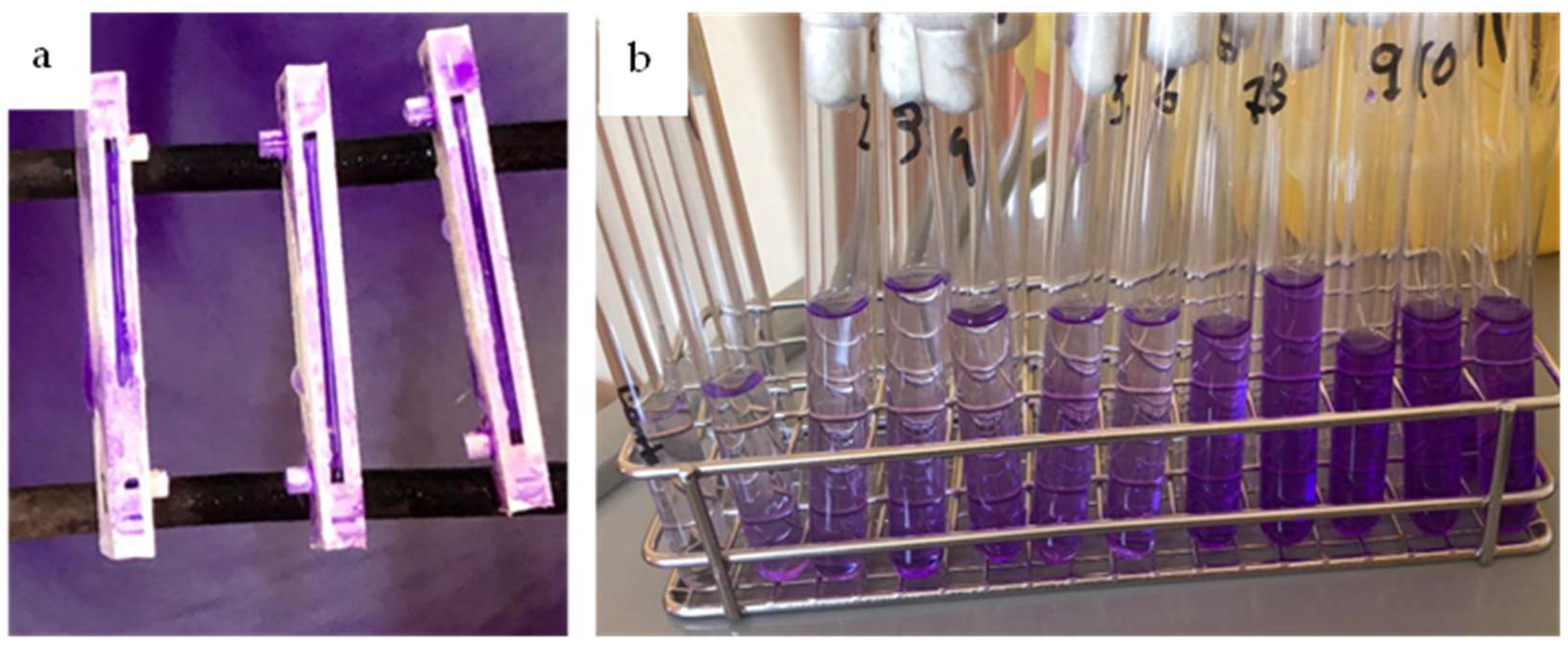 Applsci 13 00060 g004