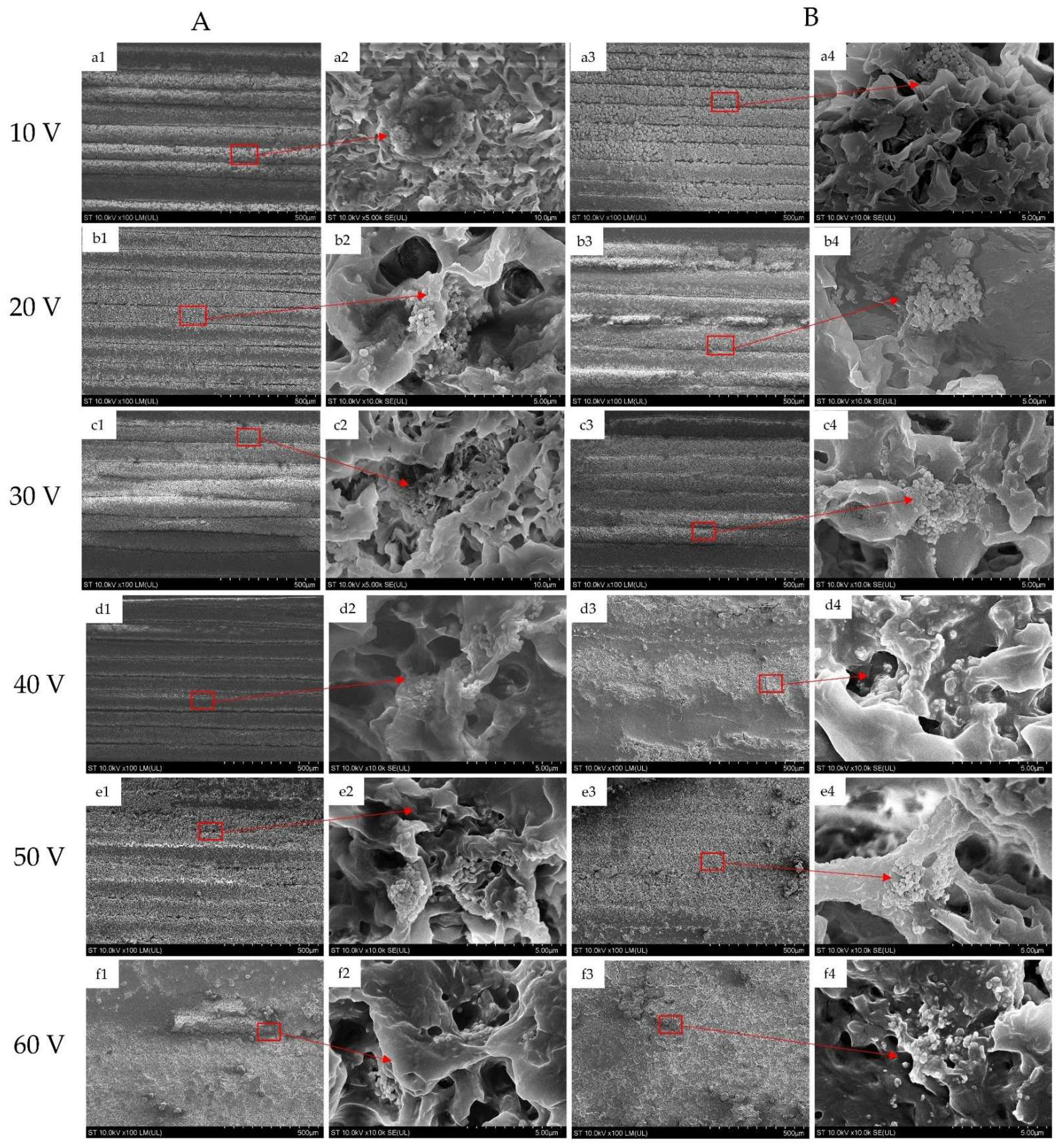 Applsci 13 00060 g006