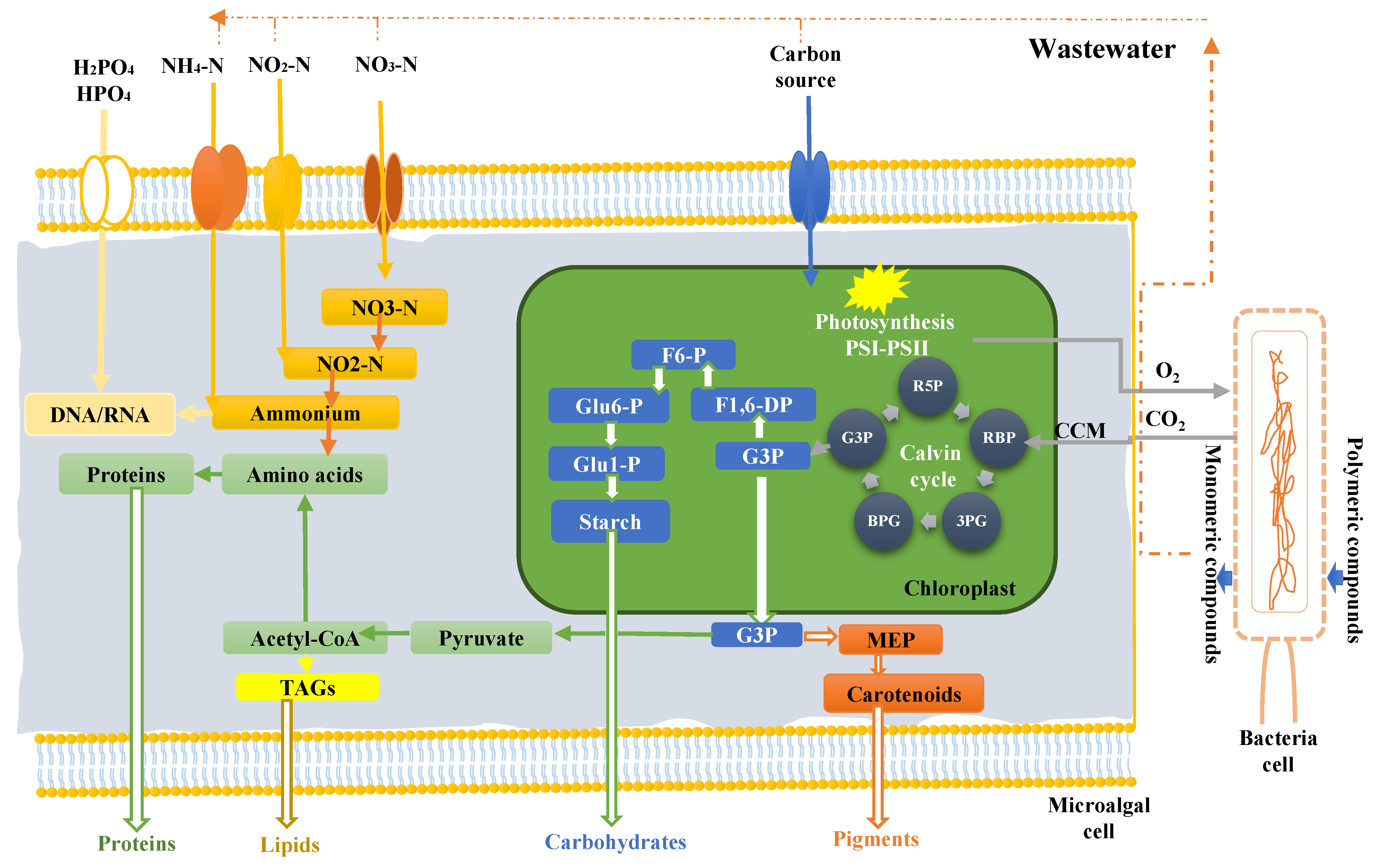 Applsci 13 00068 g007