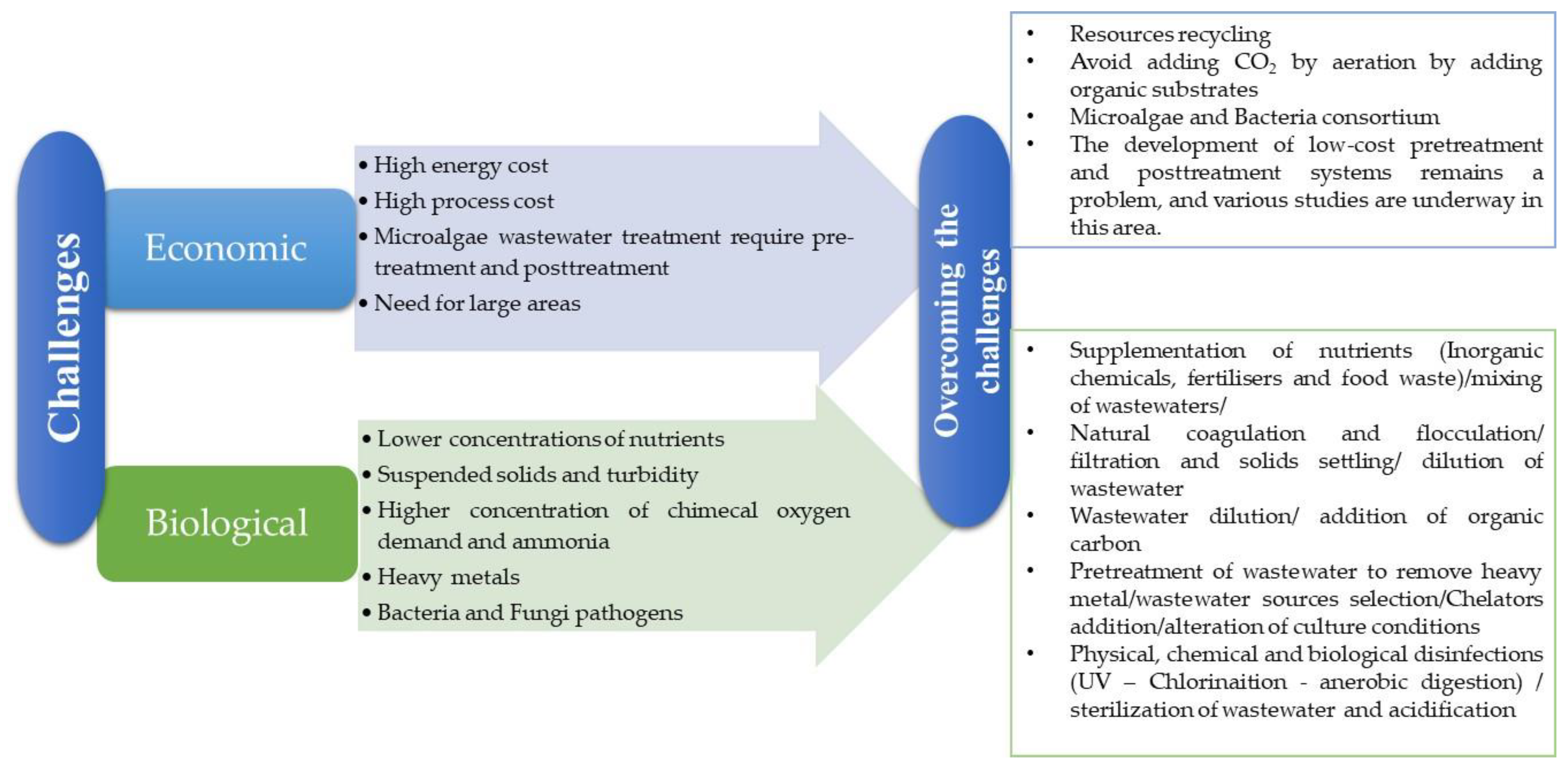 Applsci 13 00068 g010
