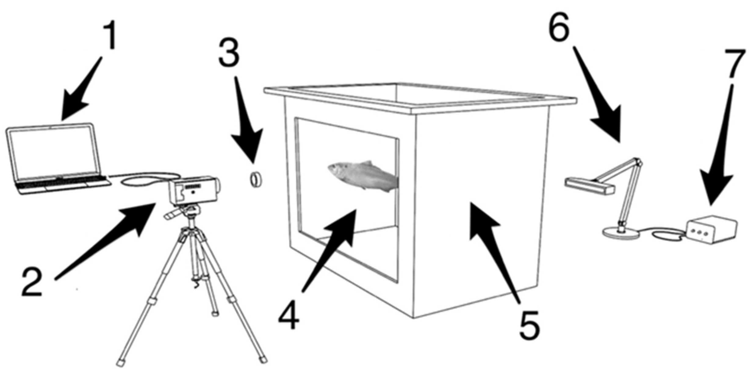 Applsci 13 00069 g001