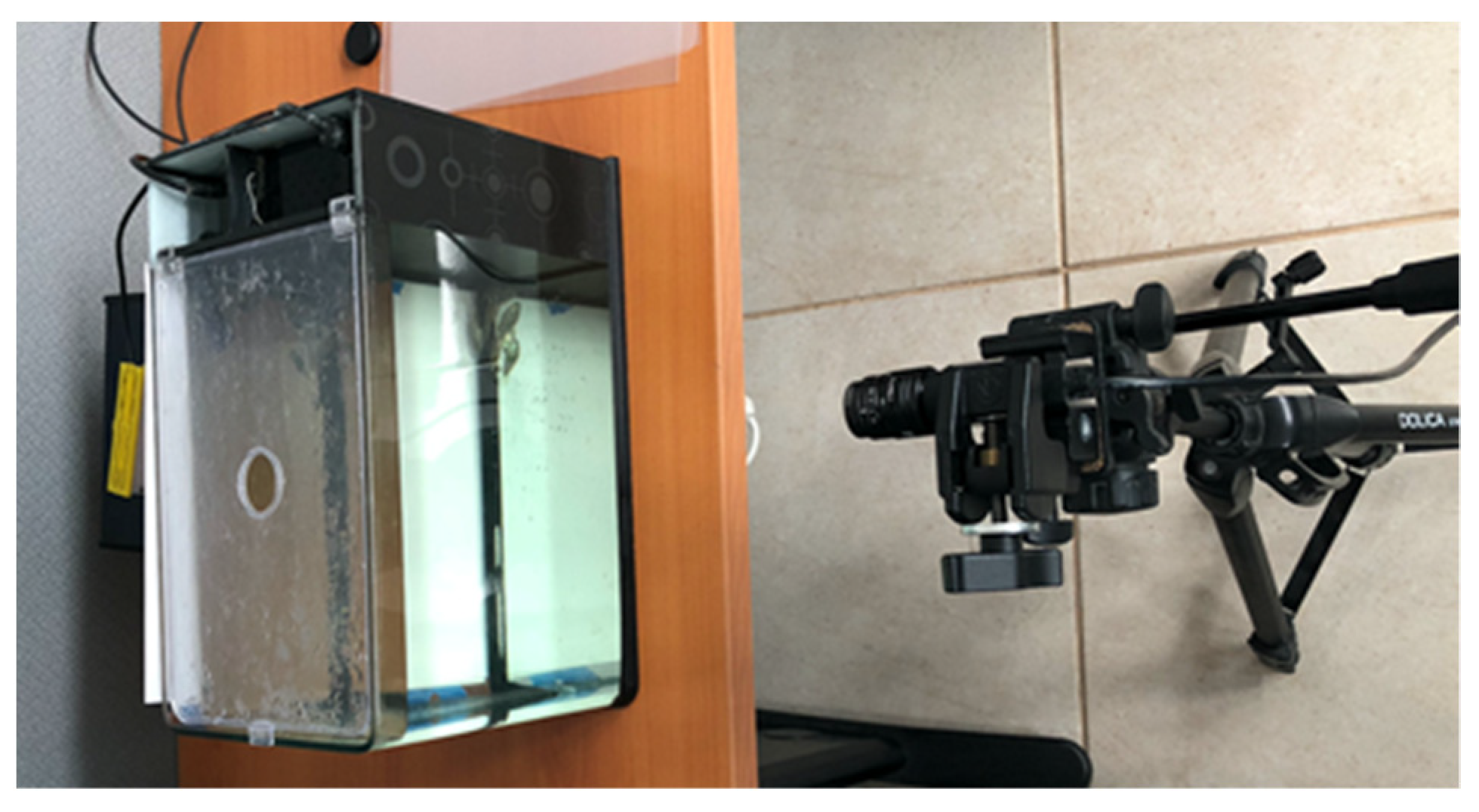 Applsci 13 00069 g002