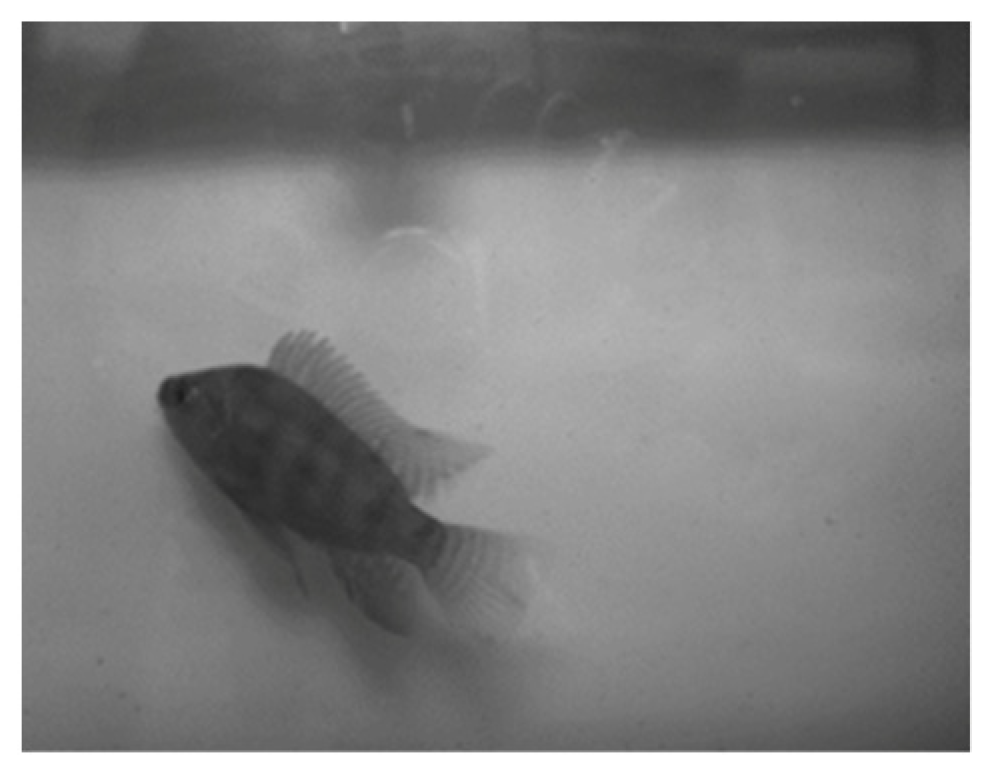 Applsci 13 00069 g004