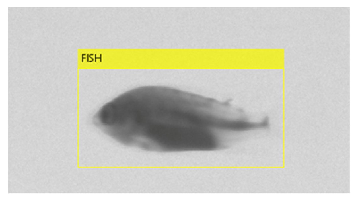 Applsci 13 00069 g007