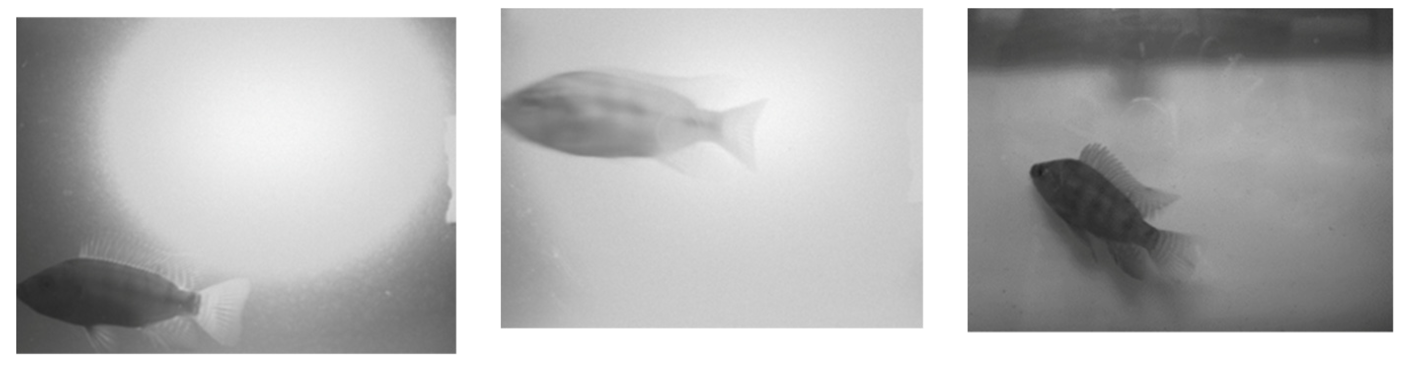 Applsci 13 00069 g010