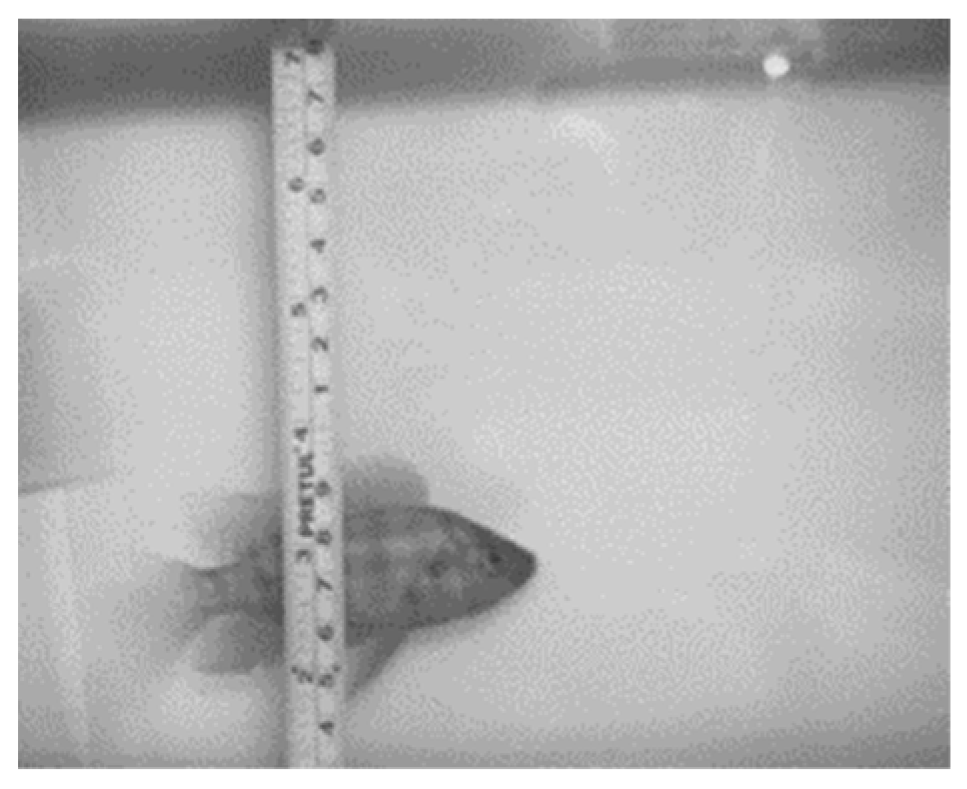 Applsci 13 00069 g011