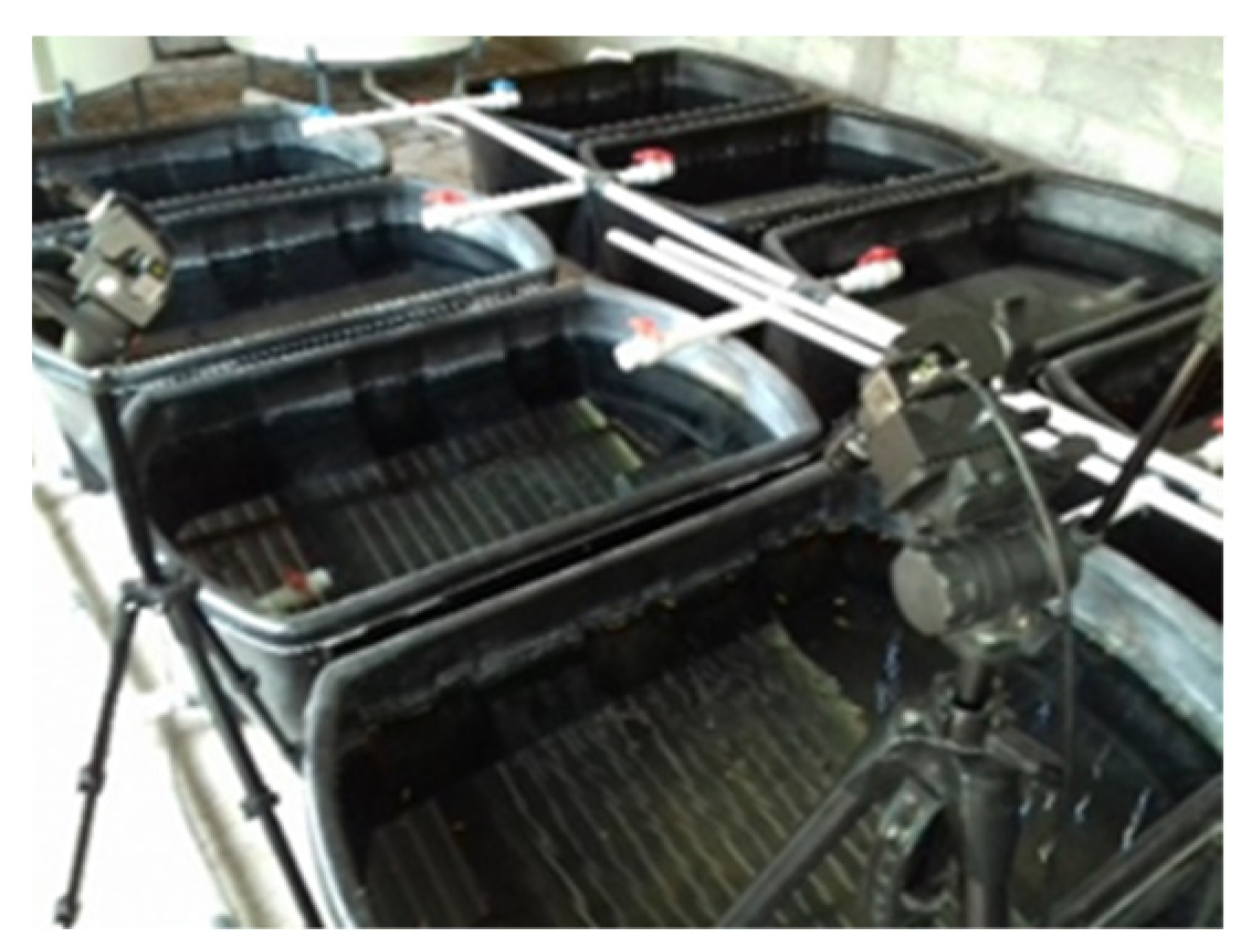 Applsci 13 00069 g013