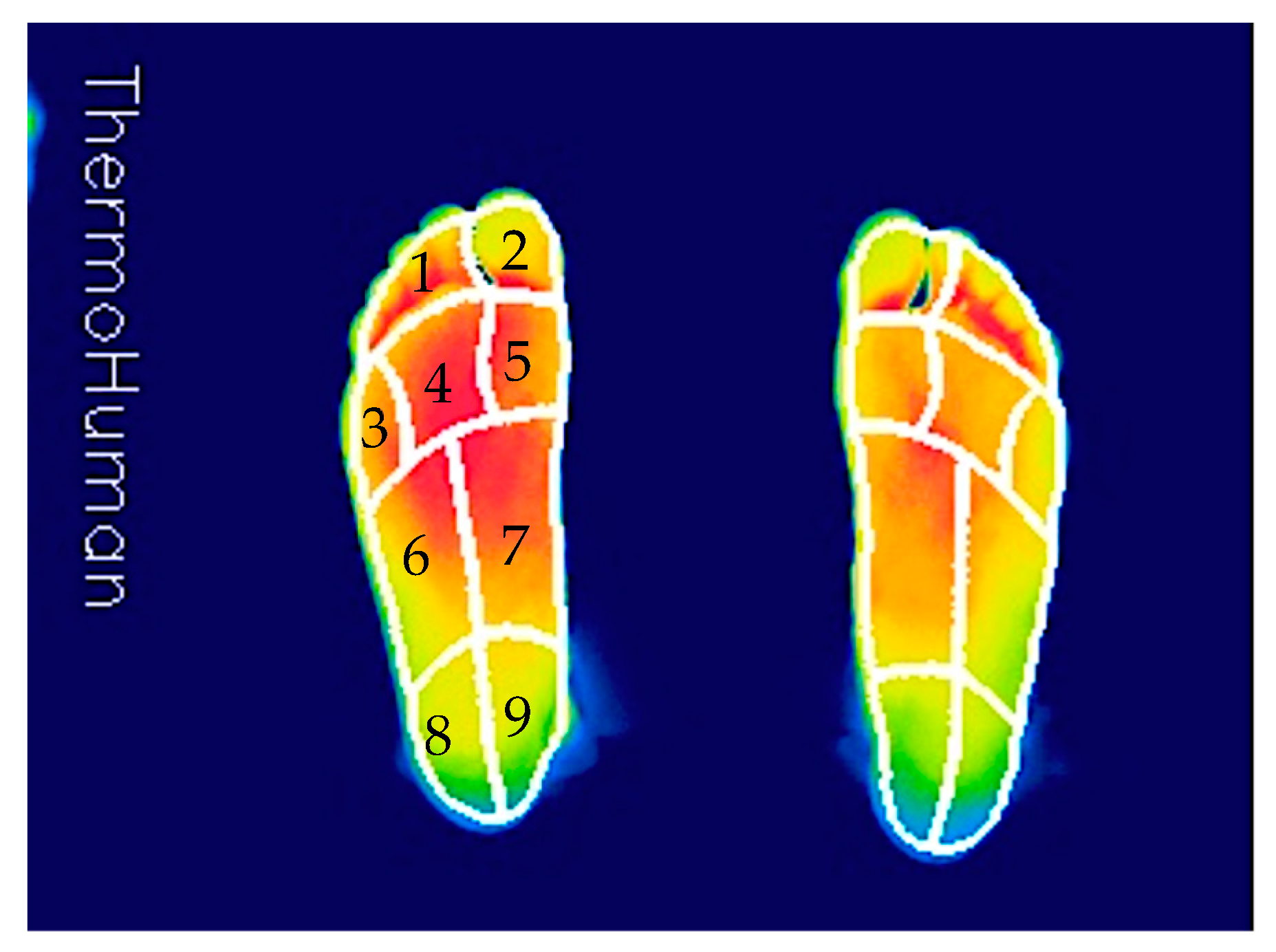 Applsci 13 00071 g003