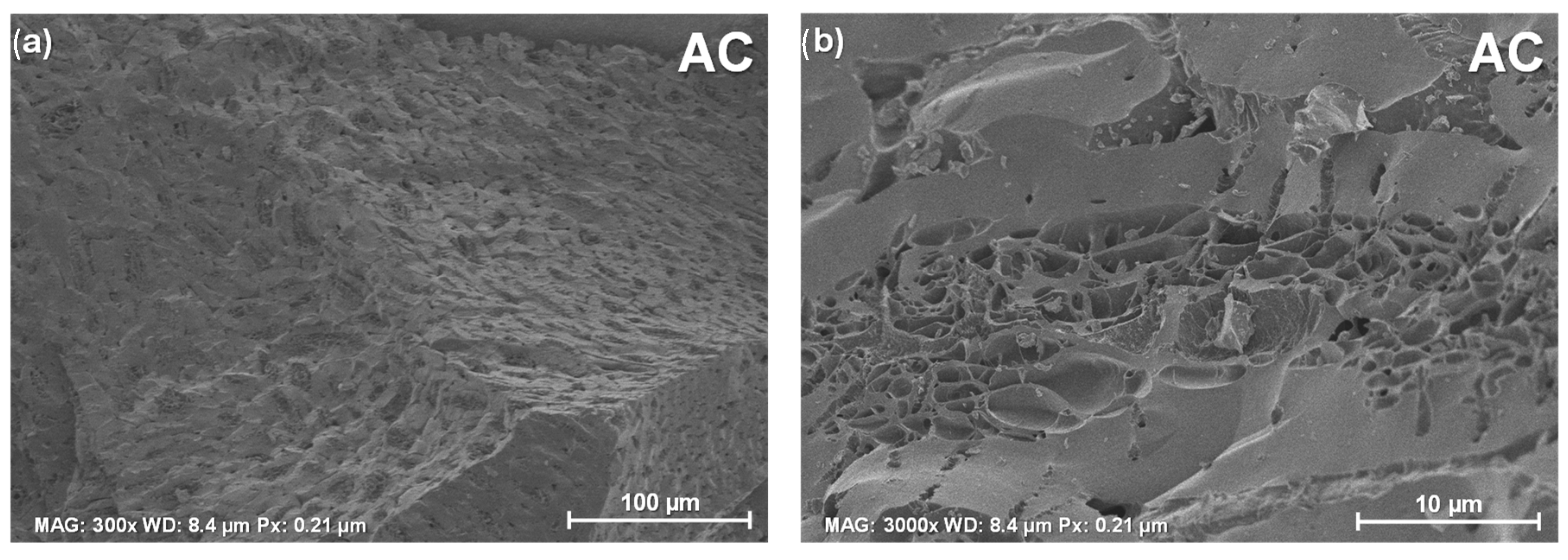 Applsci 13 00077 g003