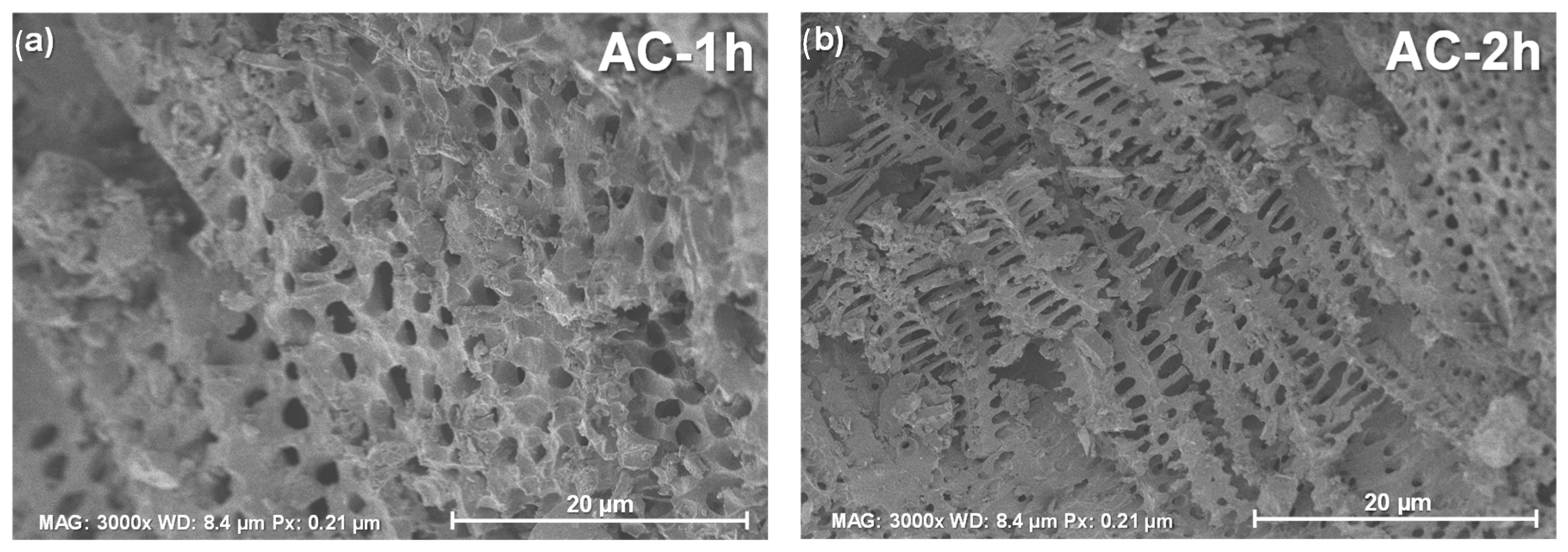 Applsci 13 00077 g004