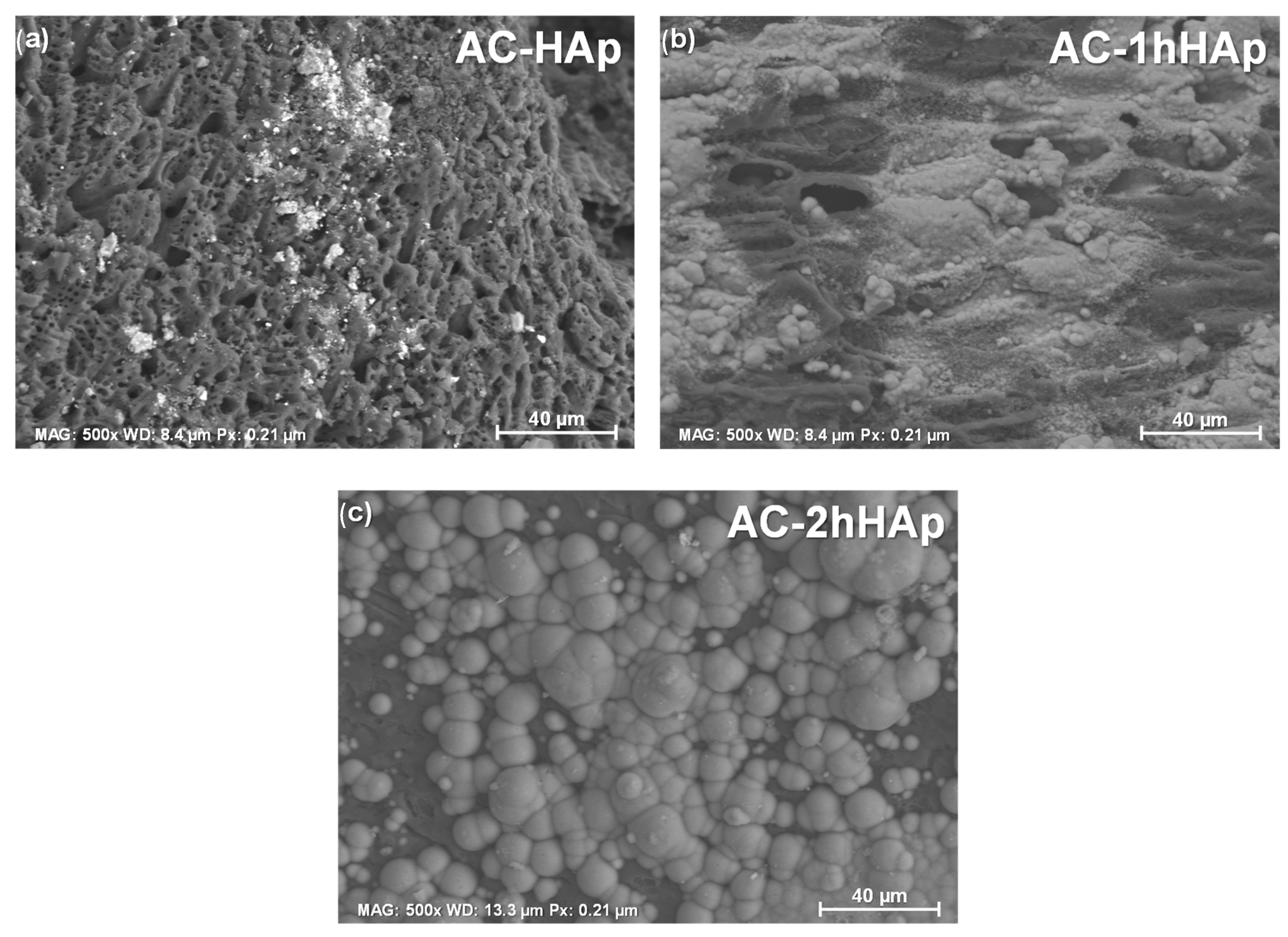 Applsci 13 00077 g006