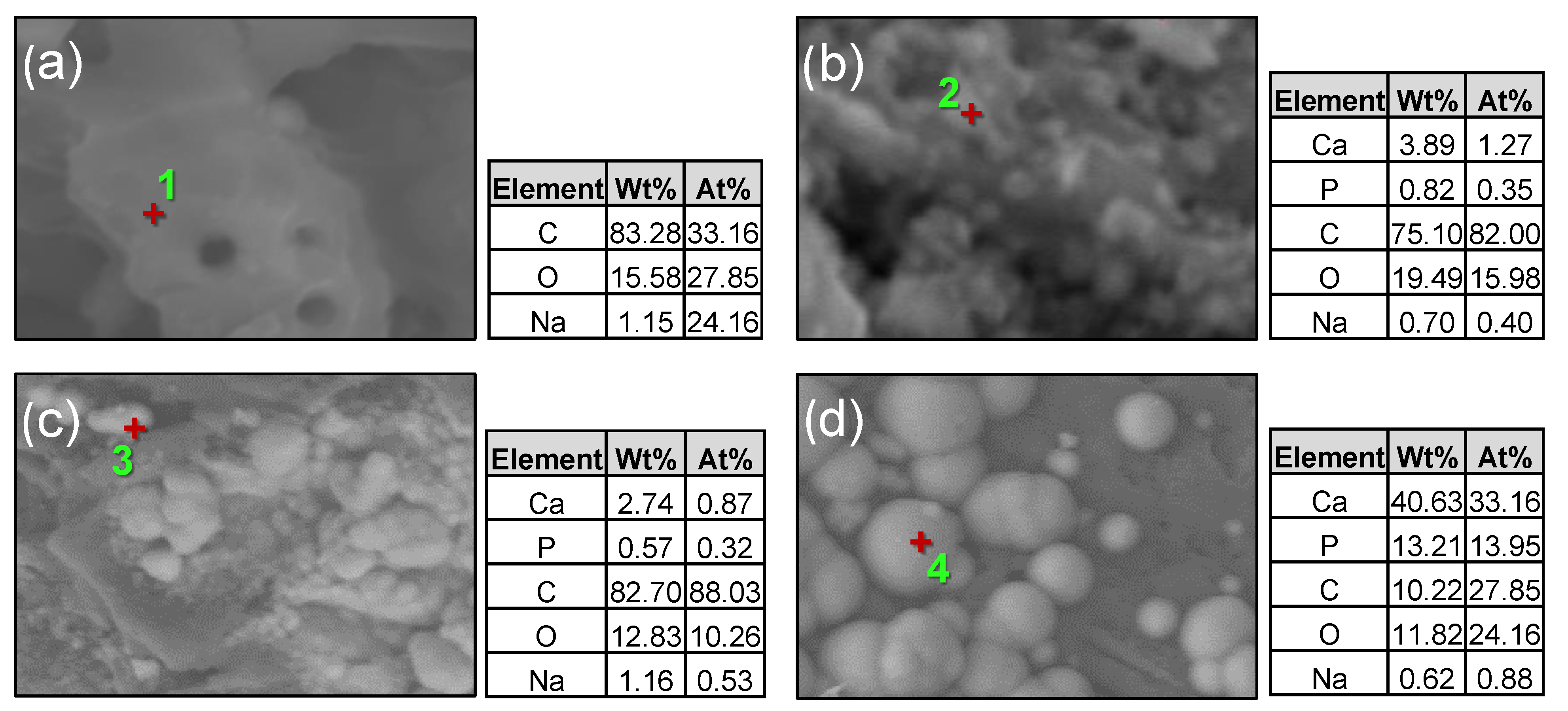 Applsci 13 00077 g007