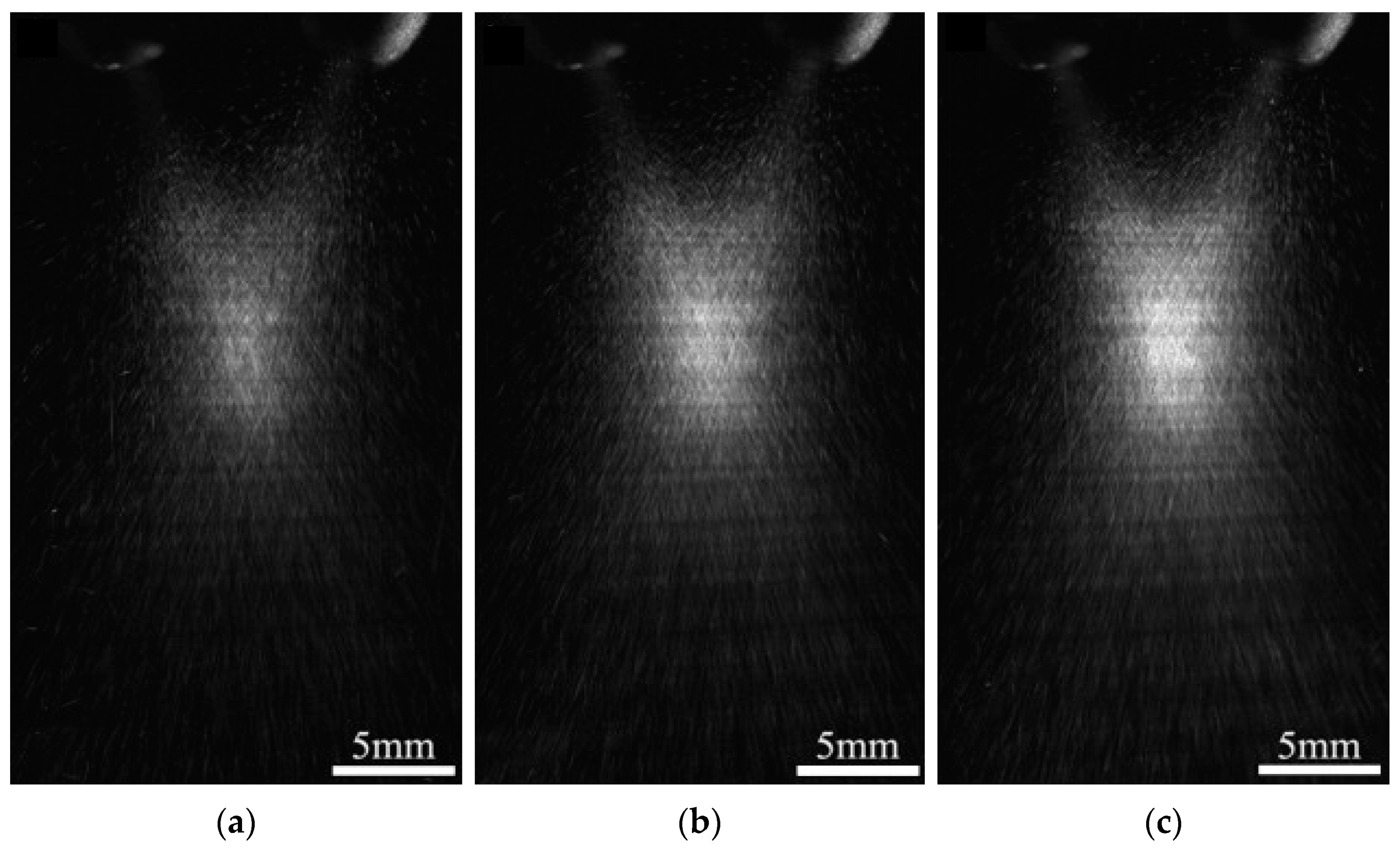 Applsci 13 00117 g012