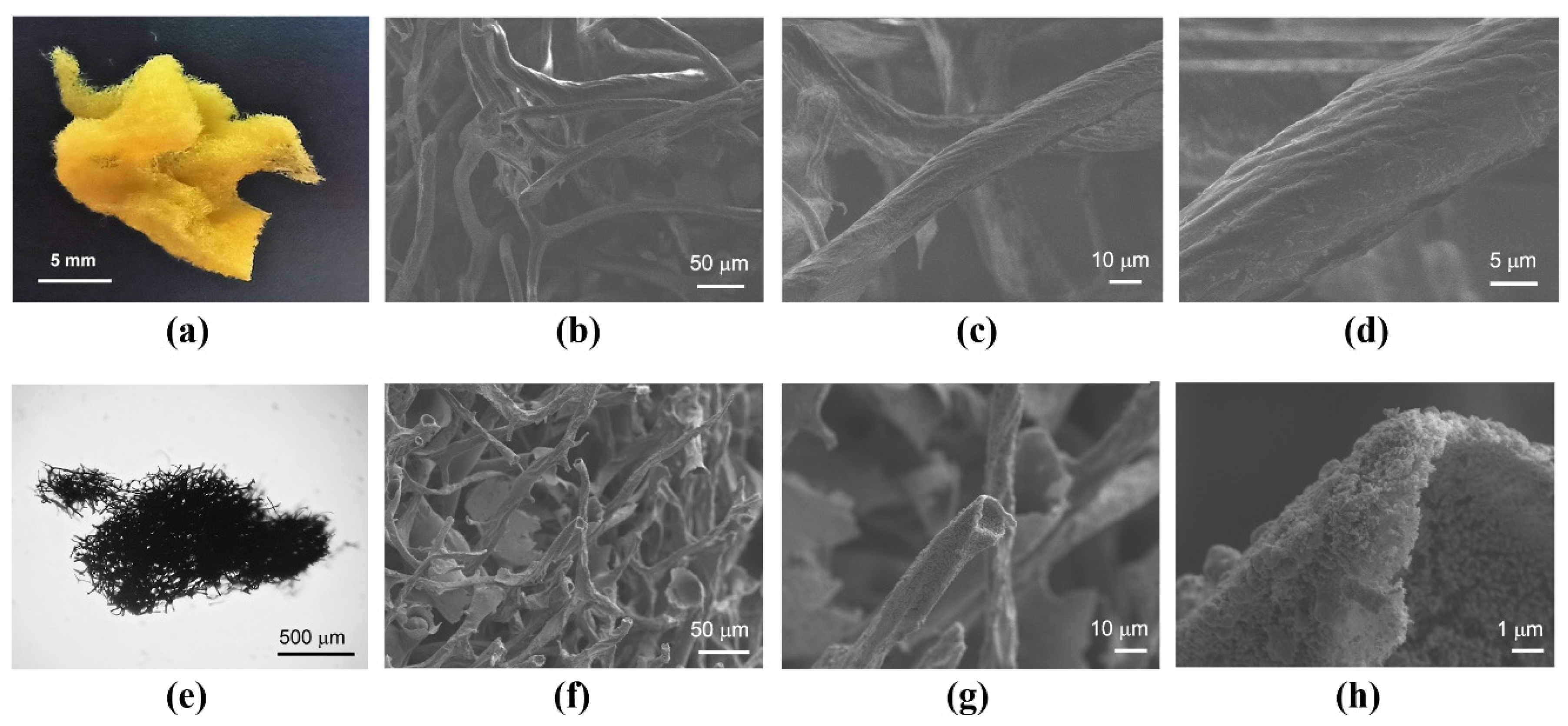 Applsci 13 00128 g001 Applsci 13 00128 g001