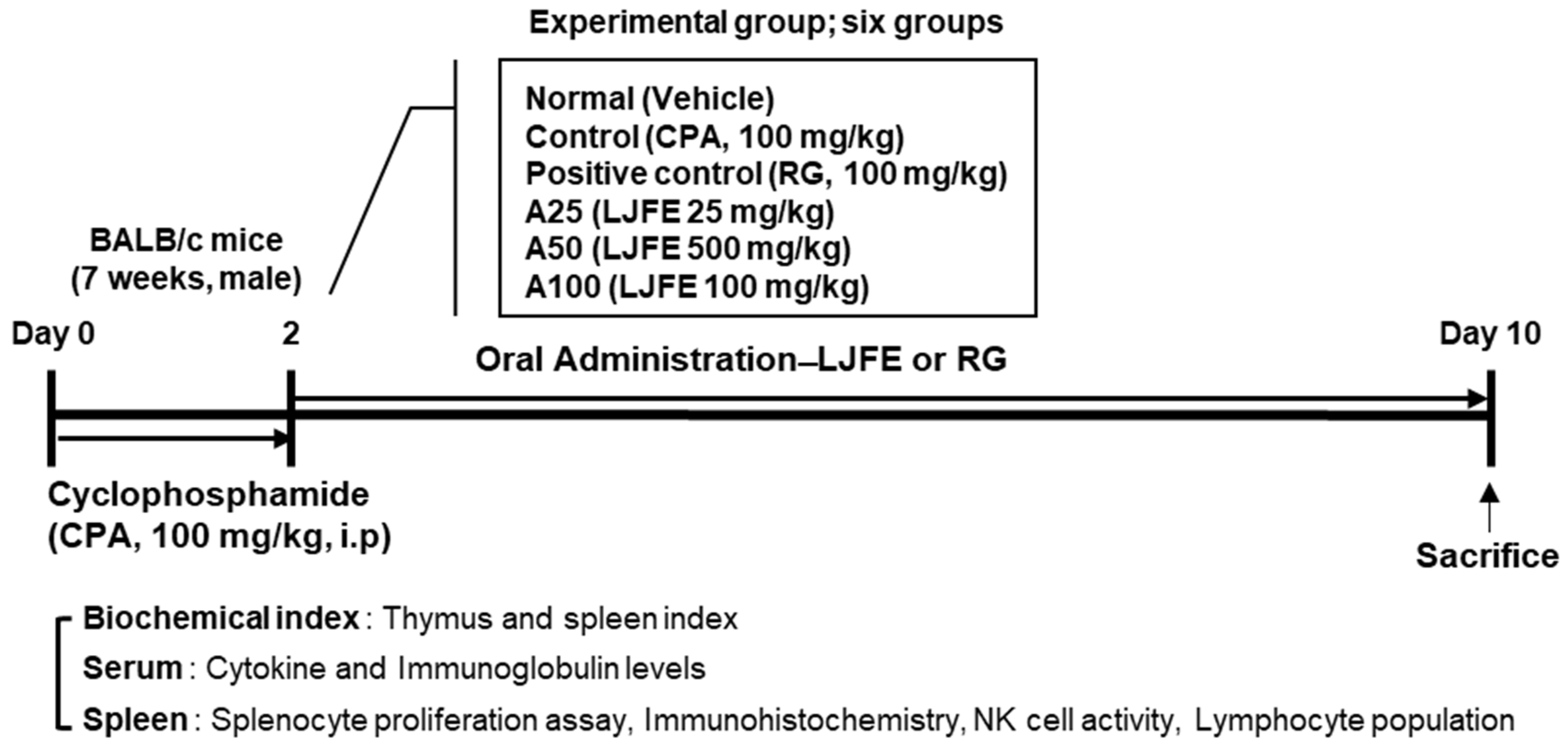 Applsci 13 00145 g001