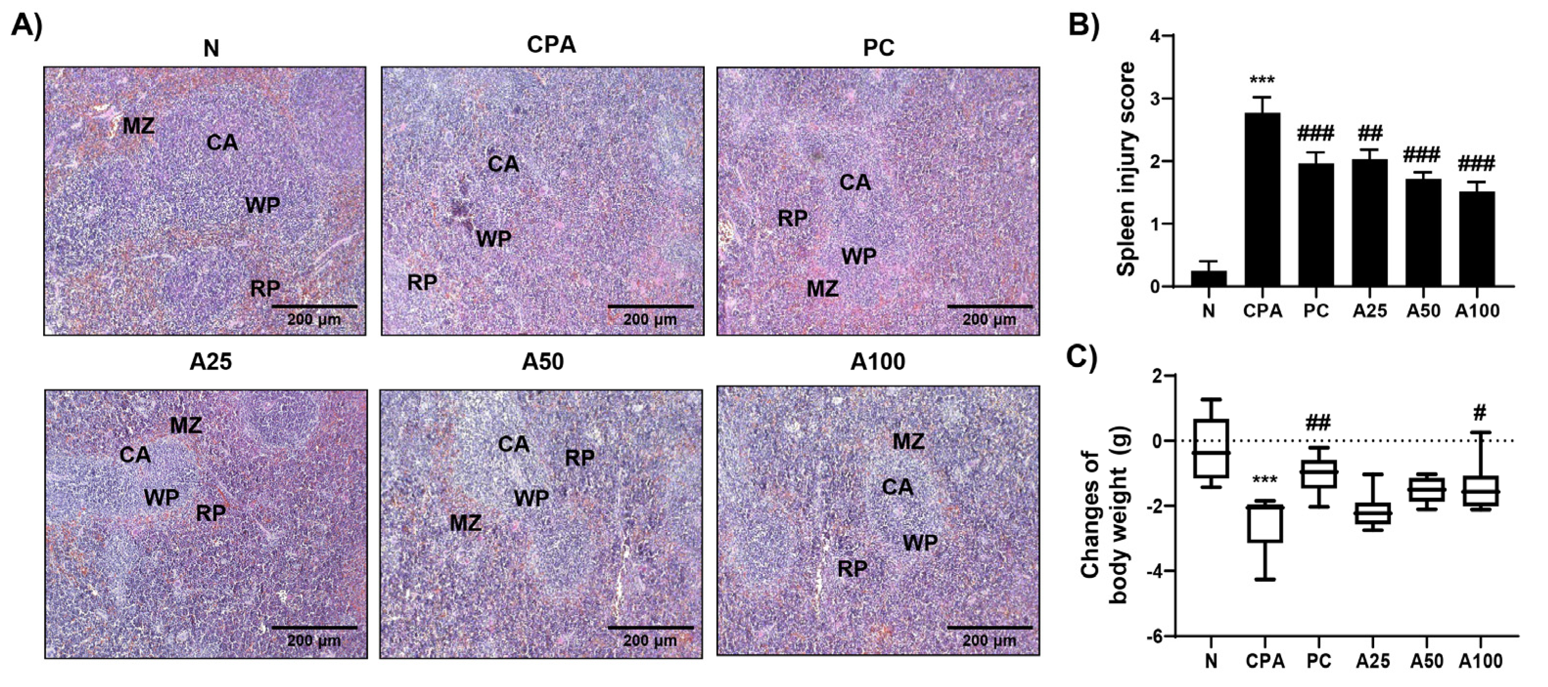 Applsci 13 00145 g002