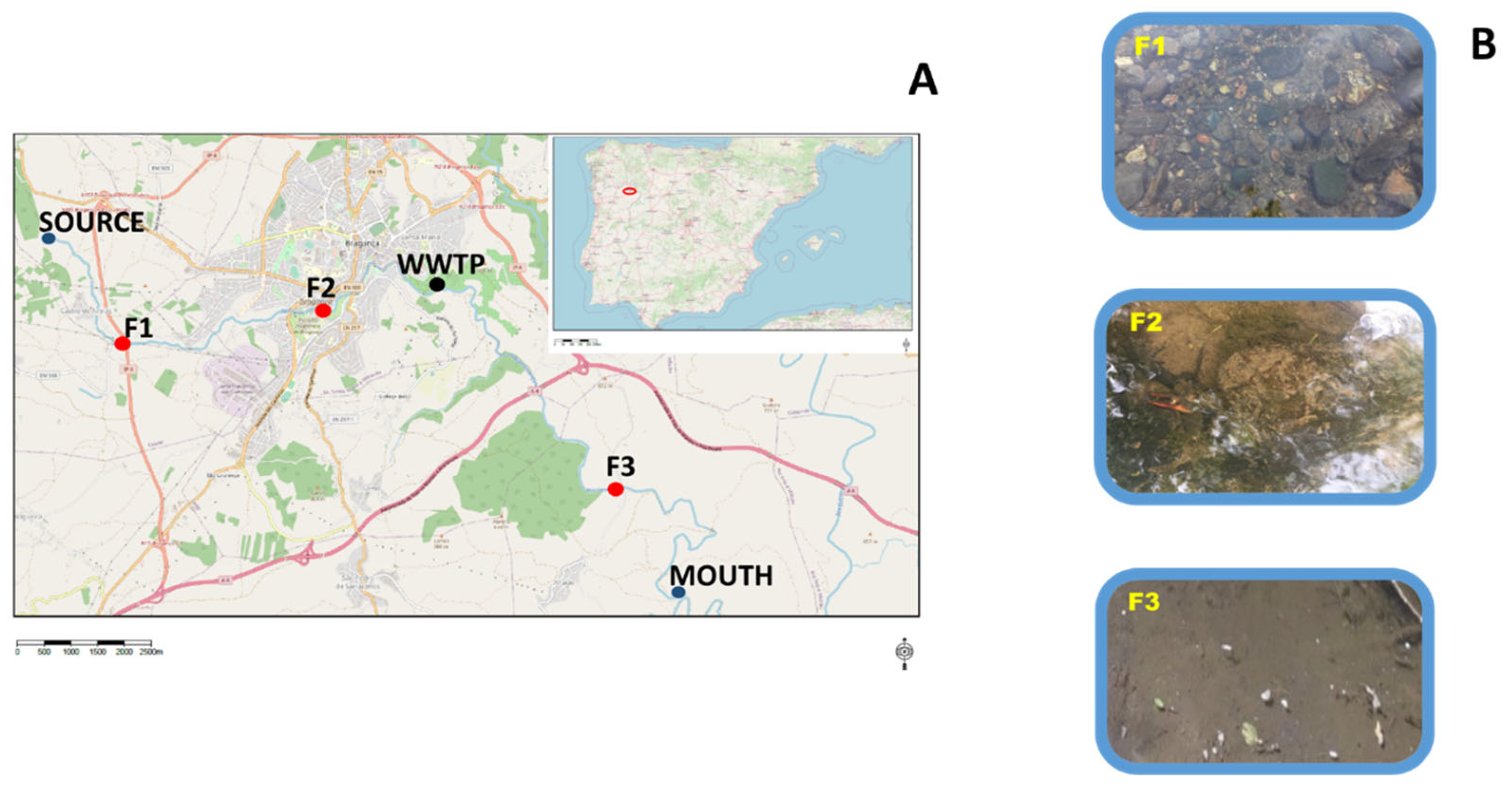 Applsci 13 00146 g001