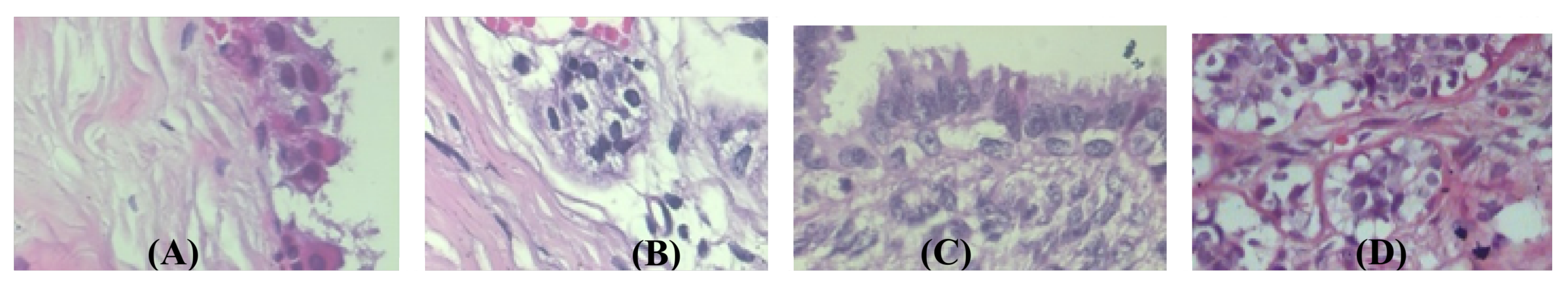 Applsci 13 00156 g009