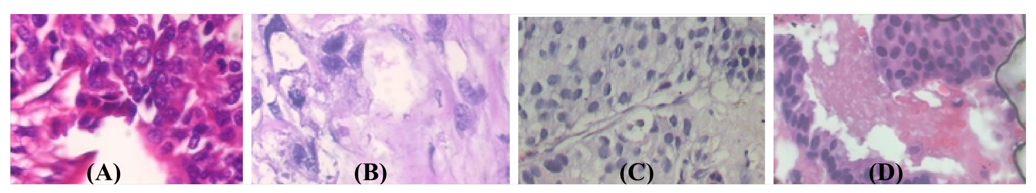 Applsci 13 00156 g010