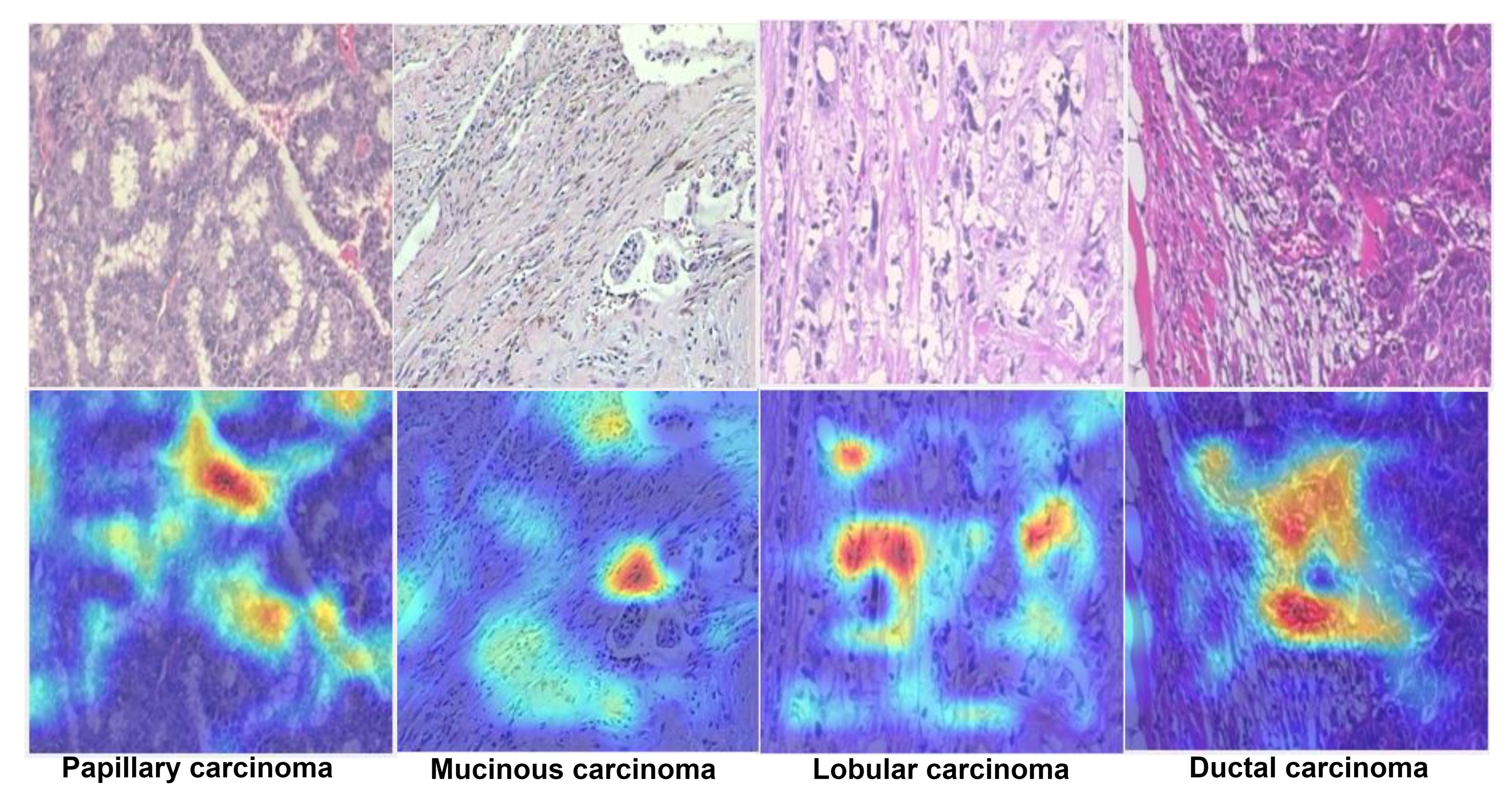 Applsci 13 00156 g016