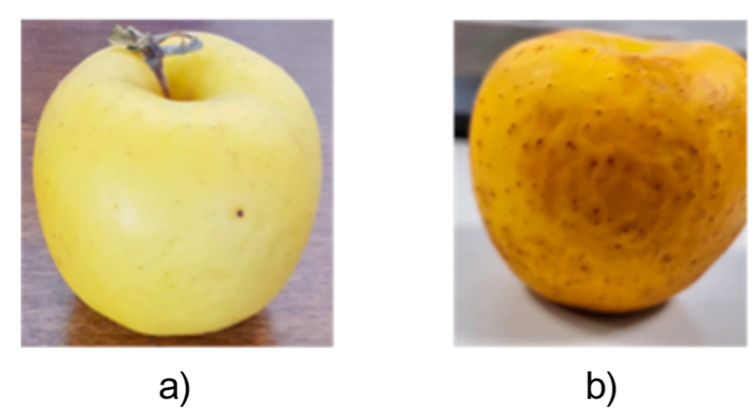 Applsci 13 00159 g002