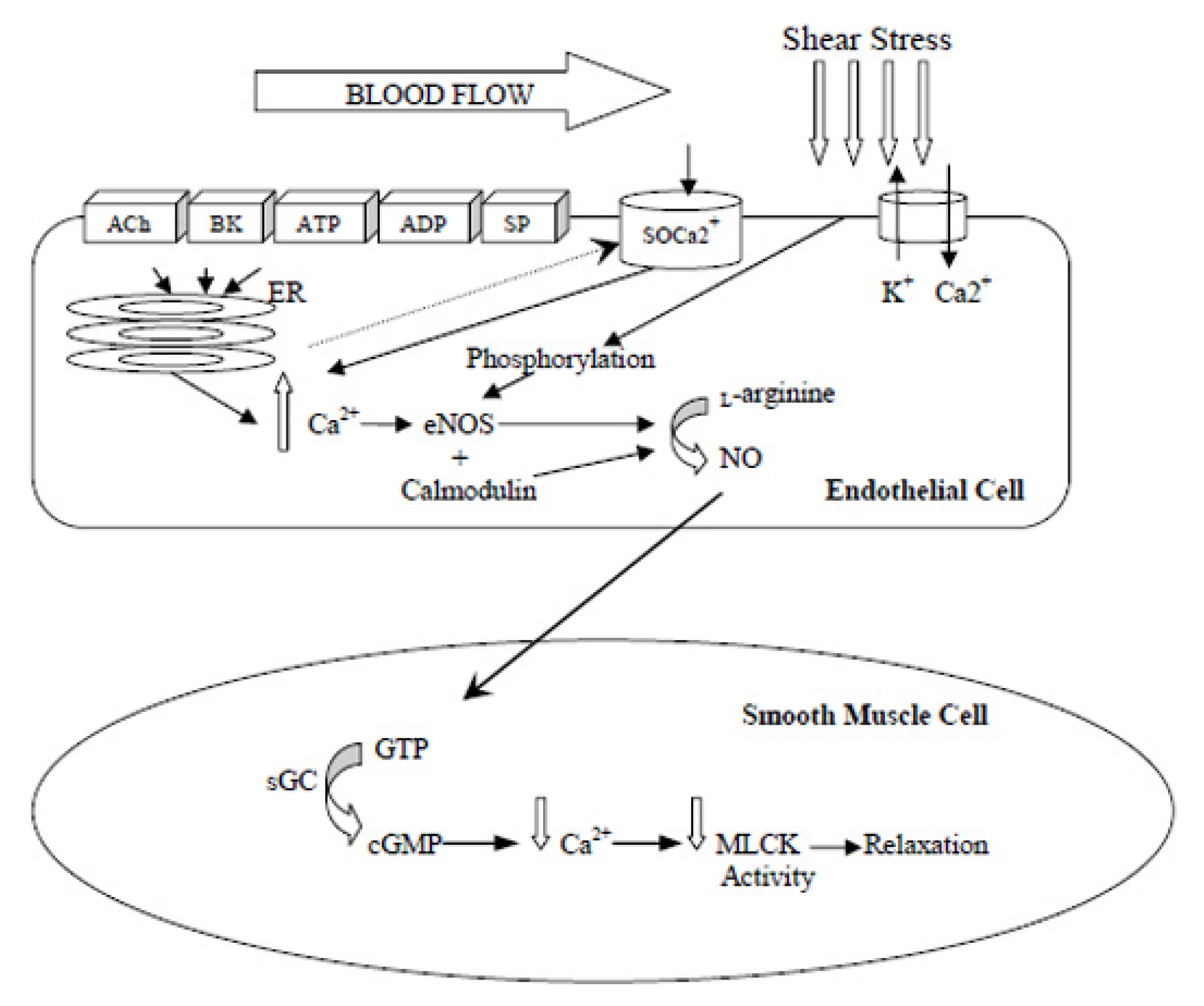Applsci 13 00170 g001