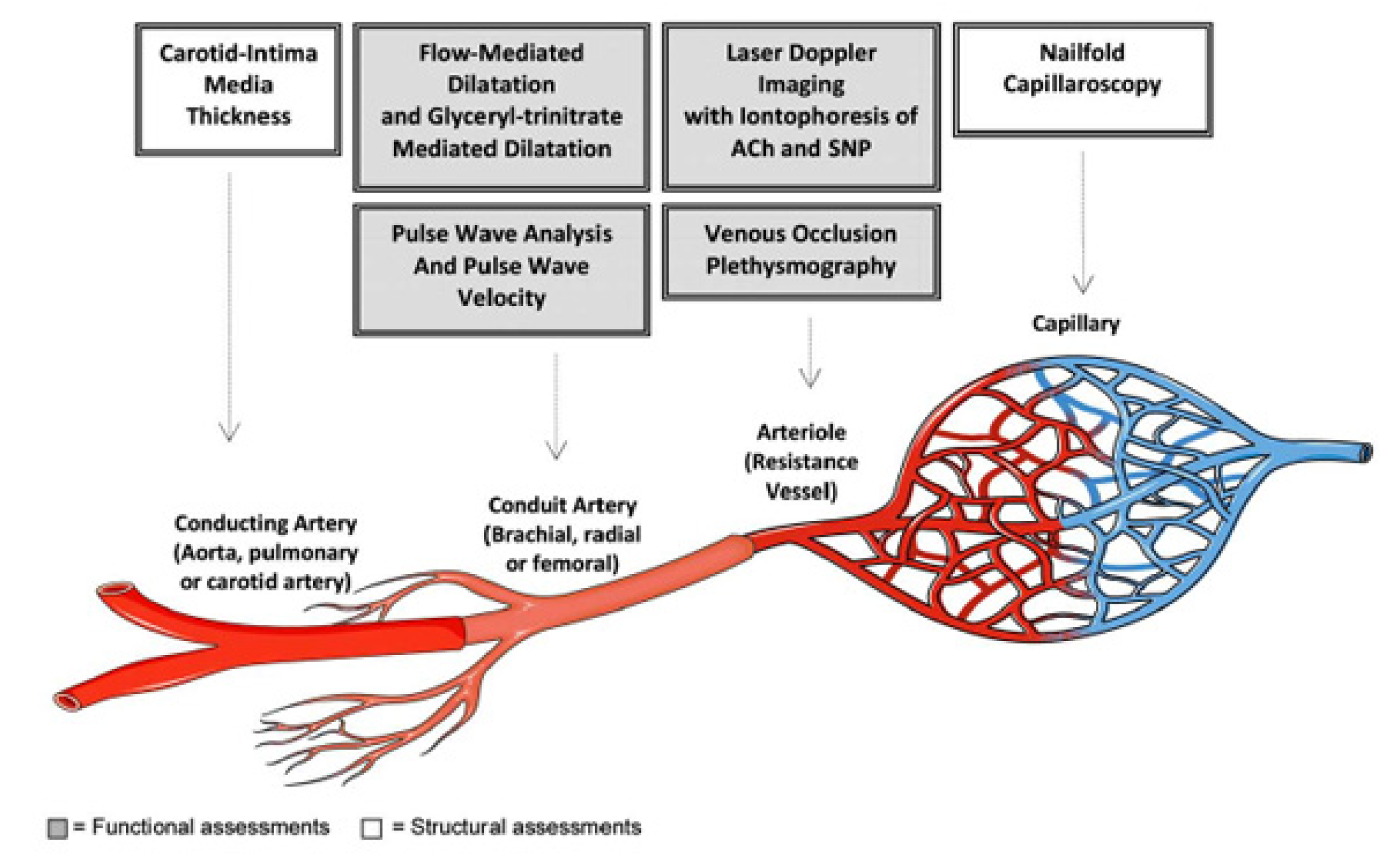 Applsci 13 00170 g002
