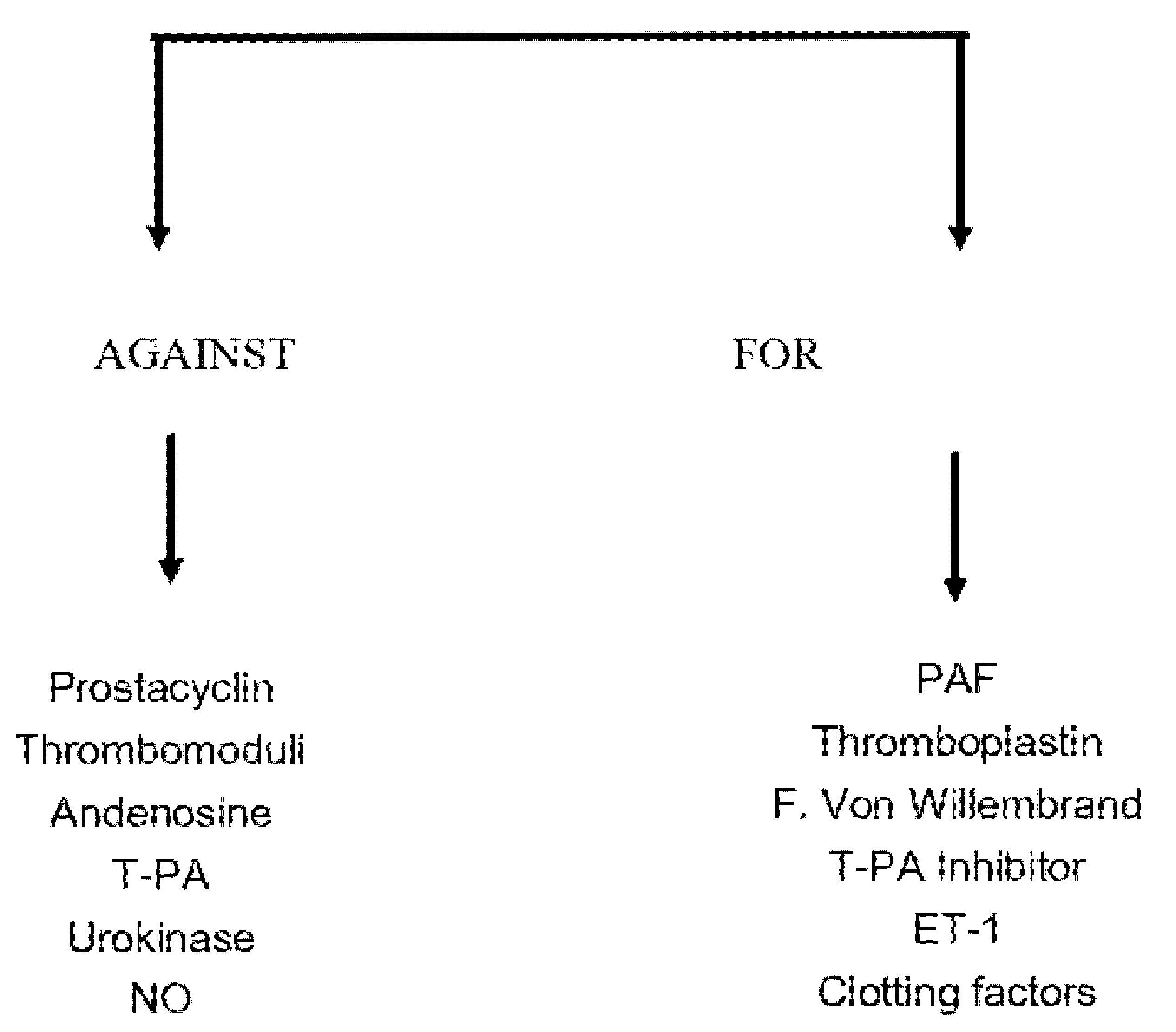 Applsci 13 00170 sch001