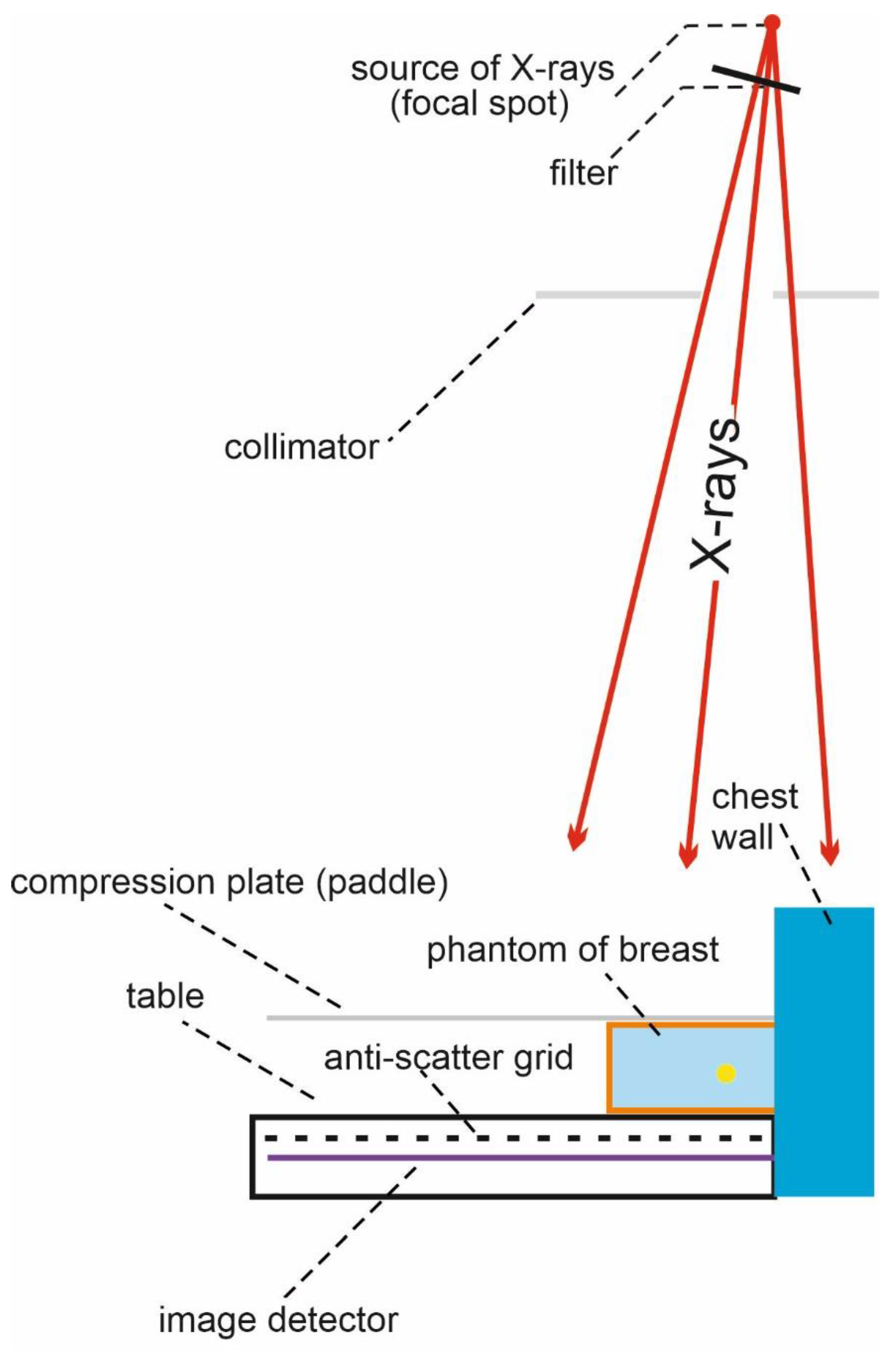 Applsci 13 00171 g001