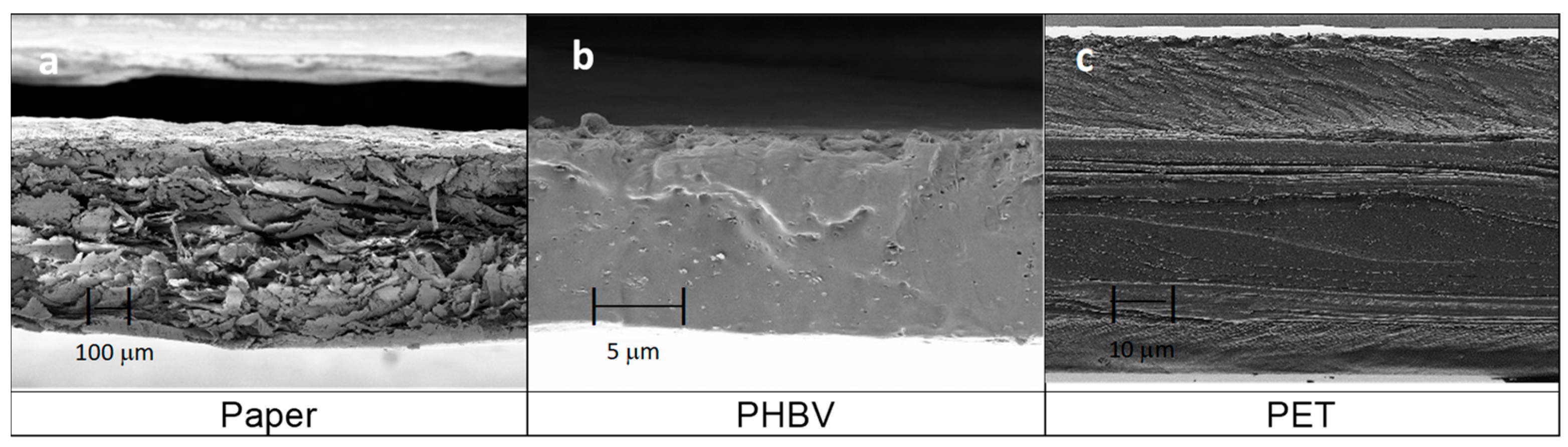 Applsci 13 00179 g002